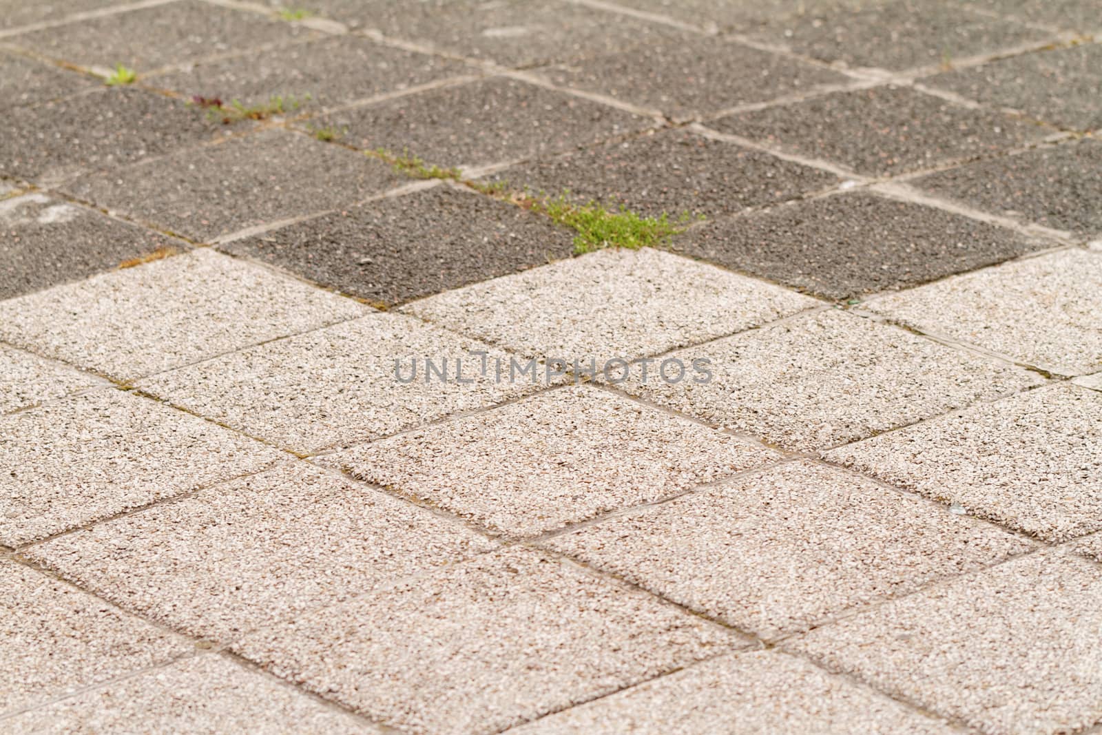 Photo of stones paving the old texture background