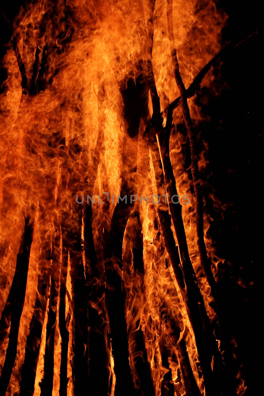 Campfire flames by Nneirda