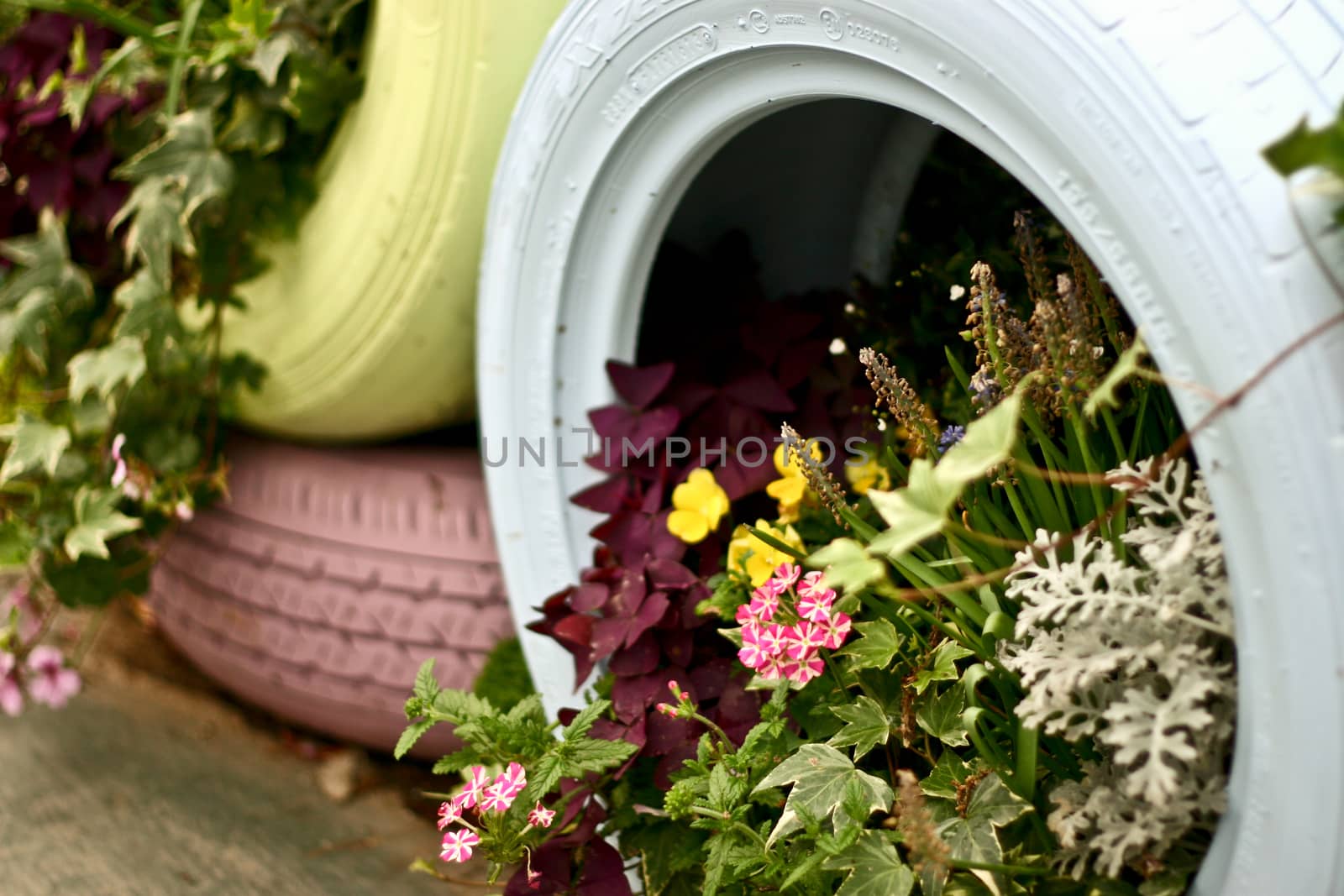 Flowers in wheel with leaves and blur background