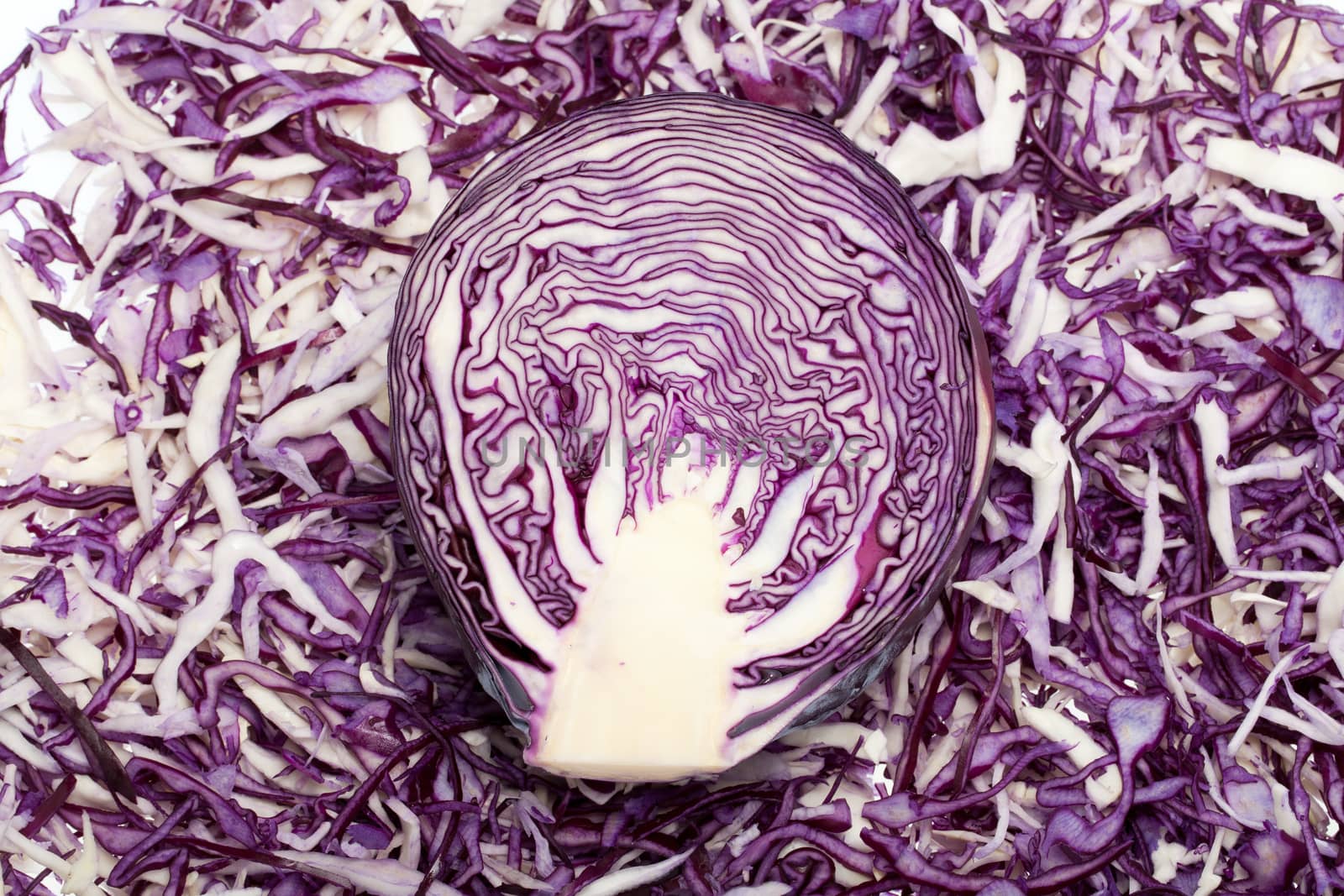 White and Red  Cabbage
