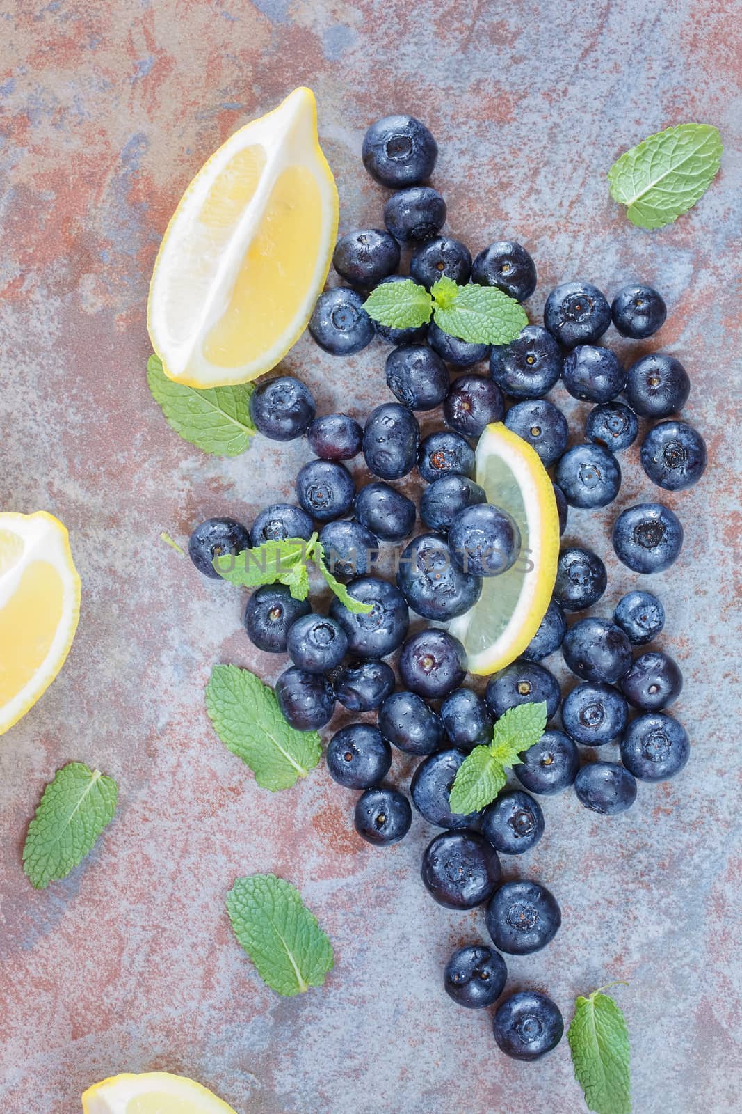 Fresh Blueberries by Slast20