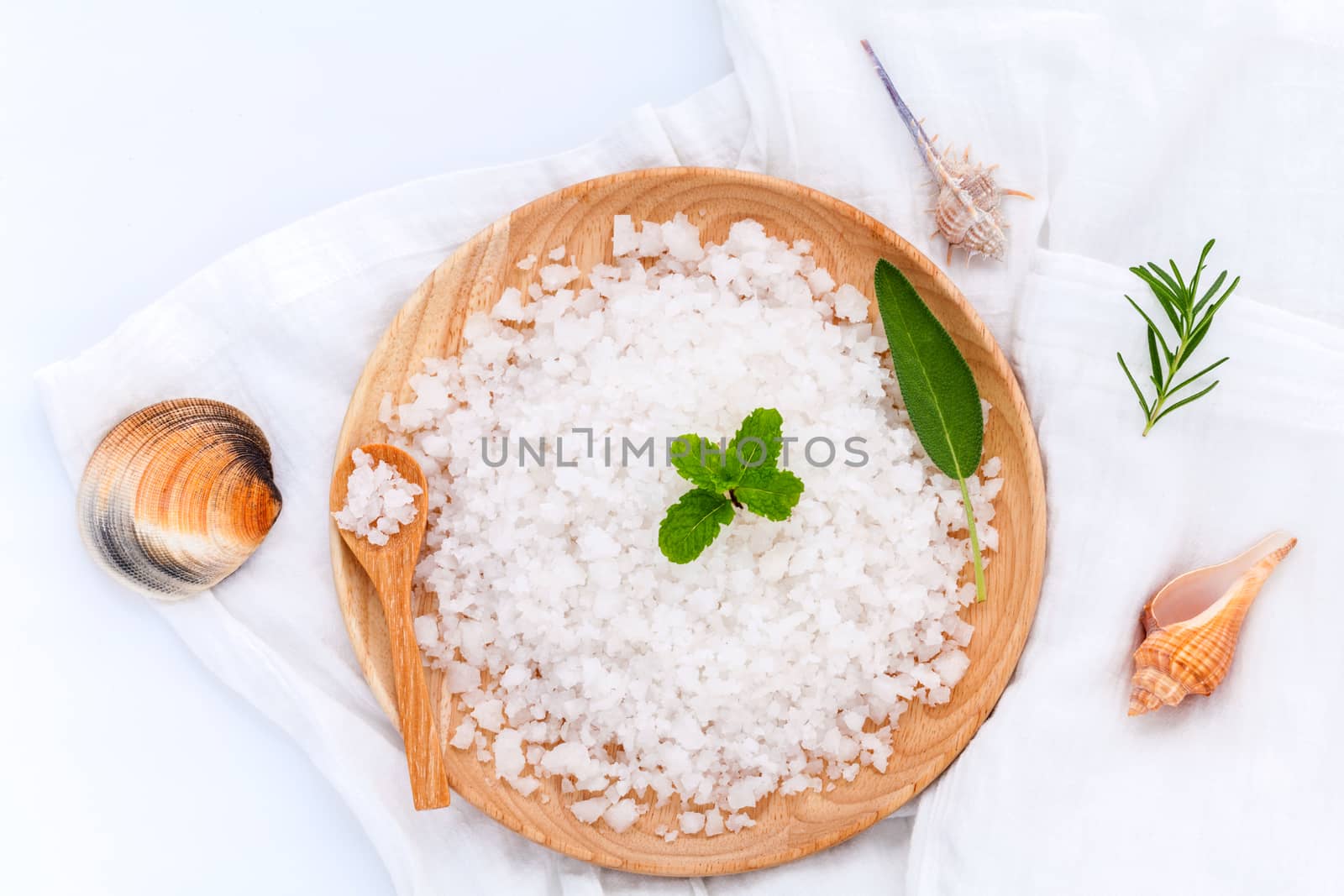  Sea salt natural spa ingredients ,herbs and sea shells for scrub and skin care isolate on white background.