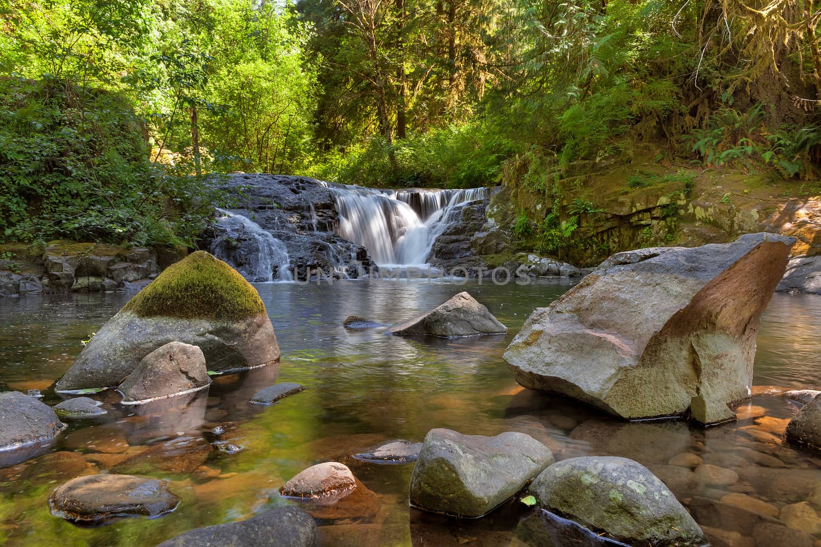 Waterfall along Sweet Creek in Oregon by Davidgn