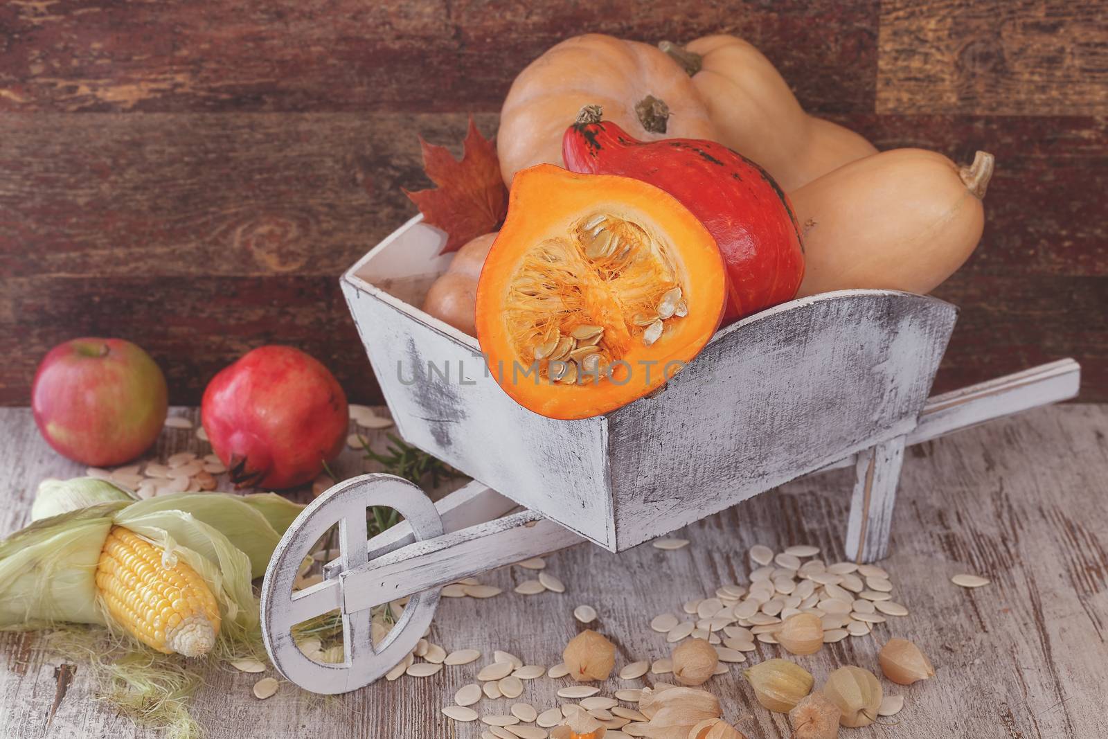 Autumn fruits and vegetables with pumpkins. Wooden wheelbarrow full with fresh different pumpkins surrounded by corn ,apple, pomegranate and physalis on an old wooden table. Macro,selective focus
