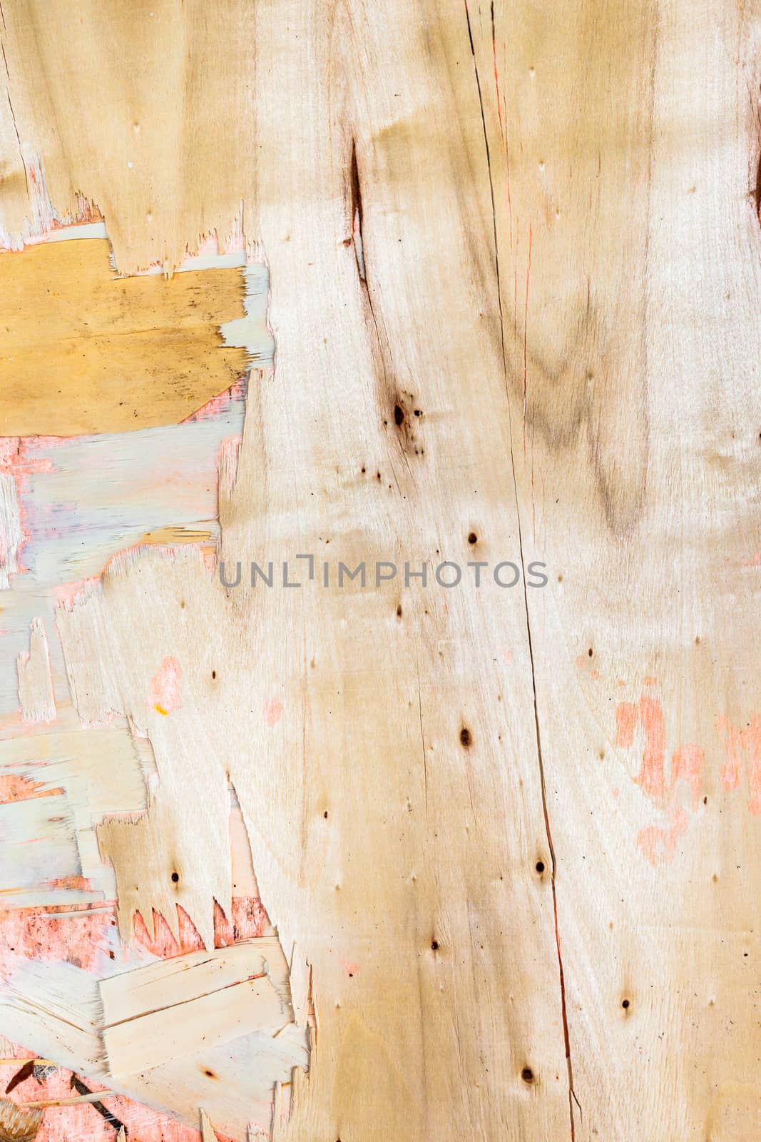 high resolution white wood texture background.