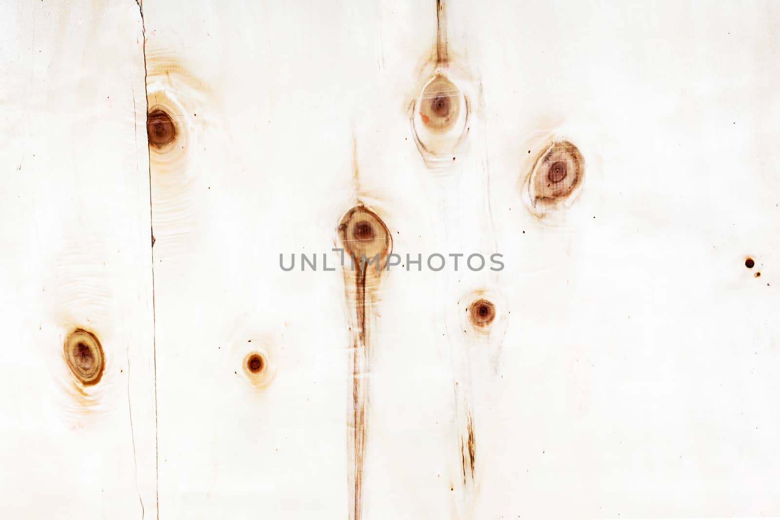 high resolution white wood texture background by nopparats