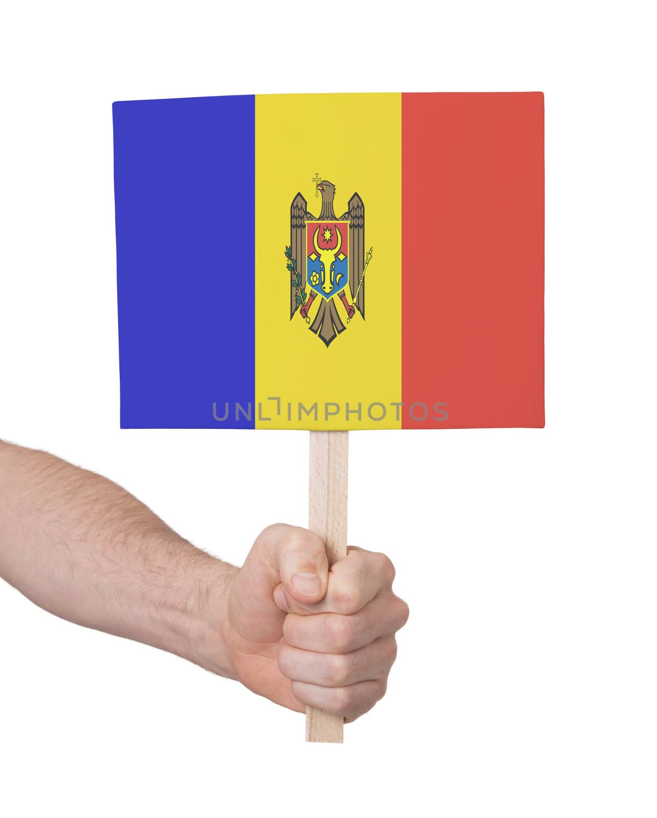 Hand holding small card, isolated on white - Flag of Moldova