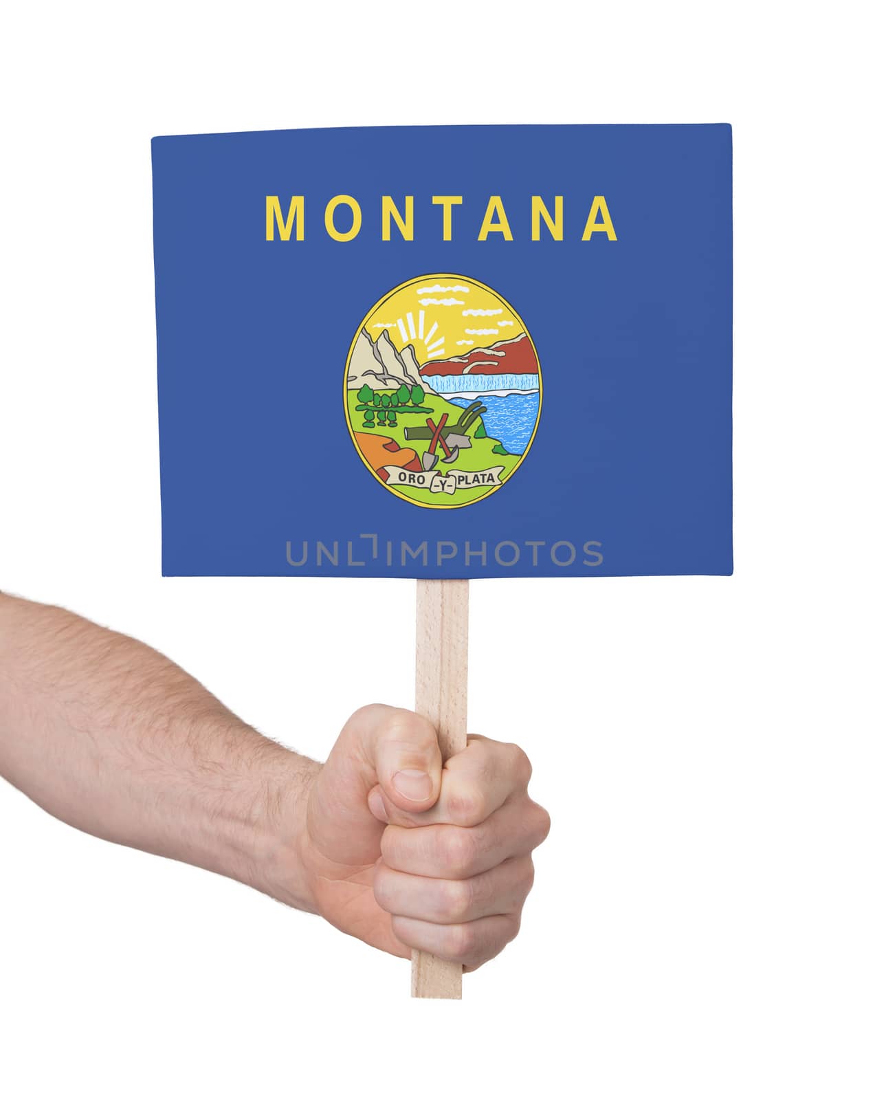 Hand holding small card, isolated on white - Flag of Montana