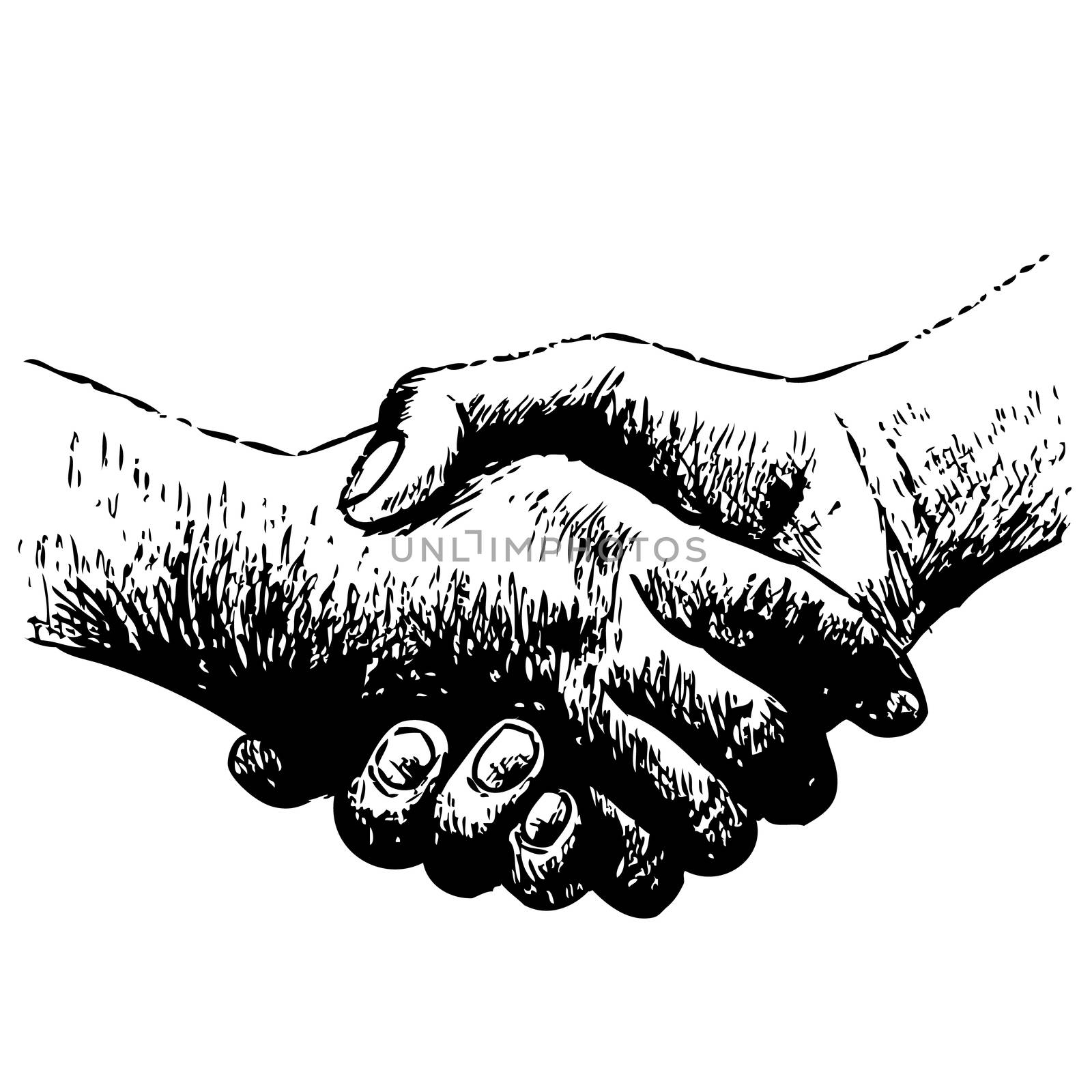 hand drawn illustration of shaking hands