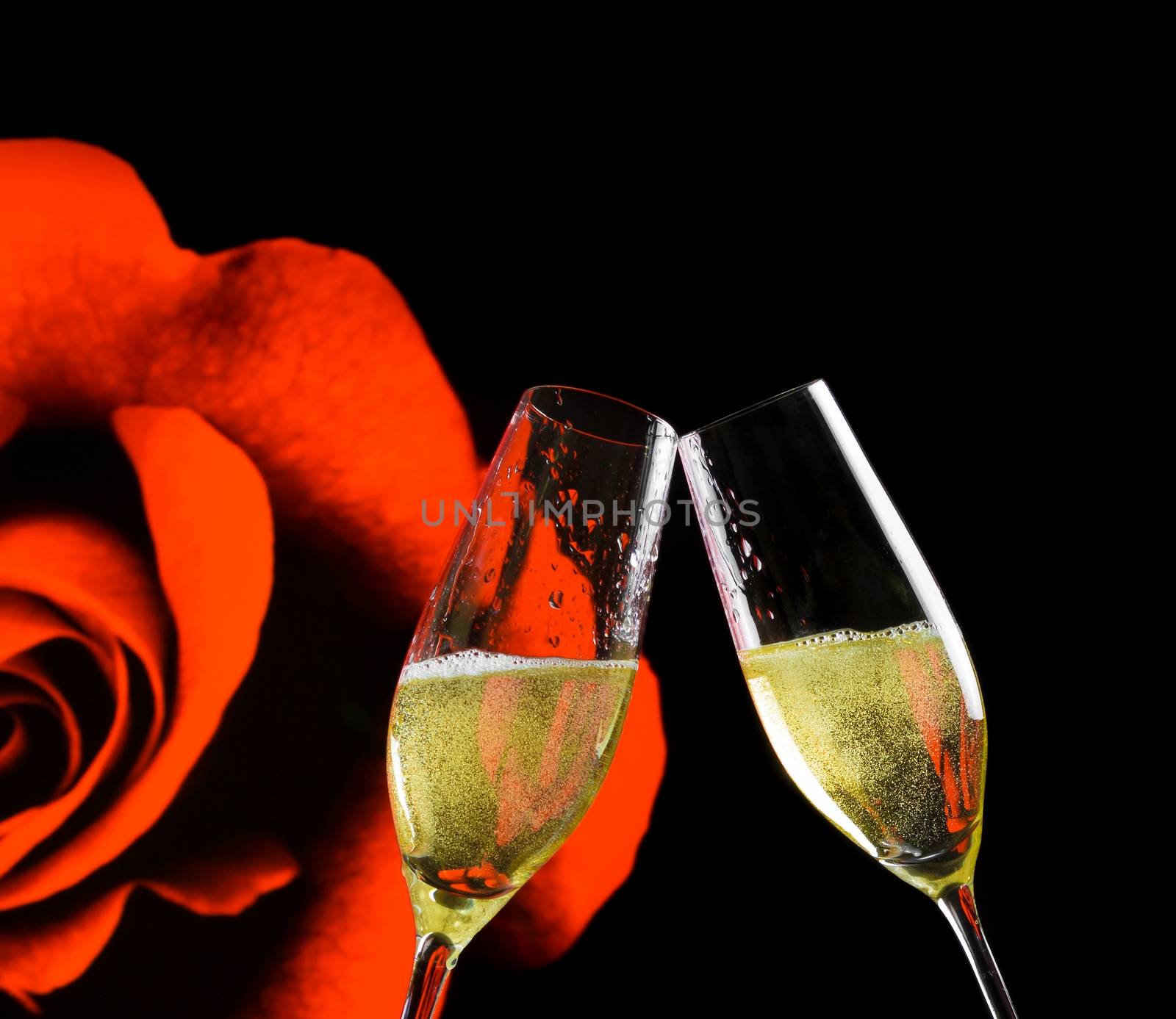 champagne flutes with golden bubbles on rose flowers and black background by donfiore