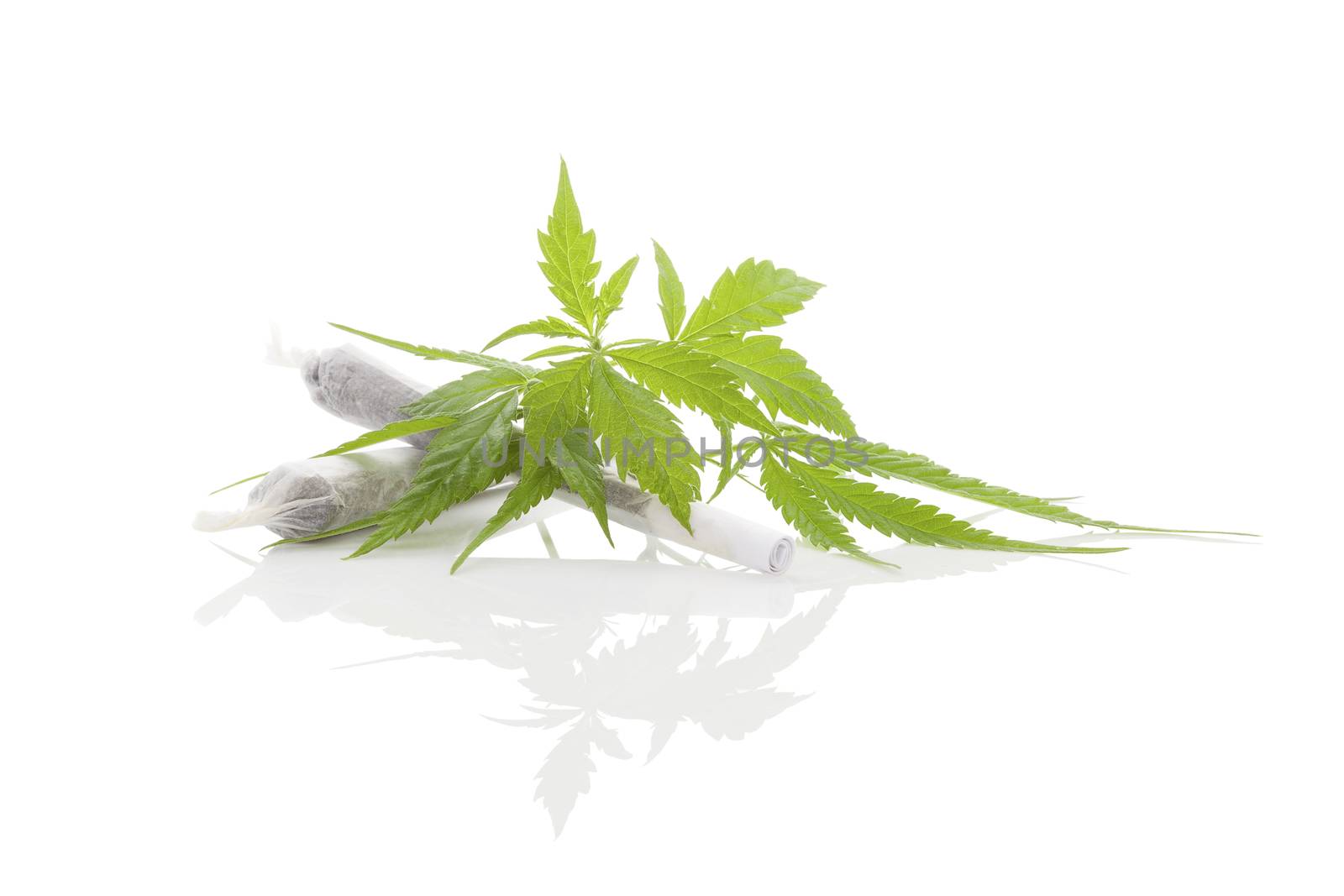 Marijuana cigarette joint, bud and foliage isolated on white background. Medical marijuana, alternative medicine. 