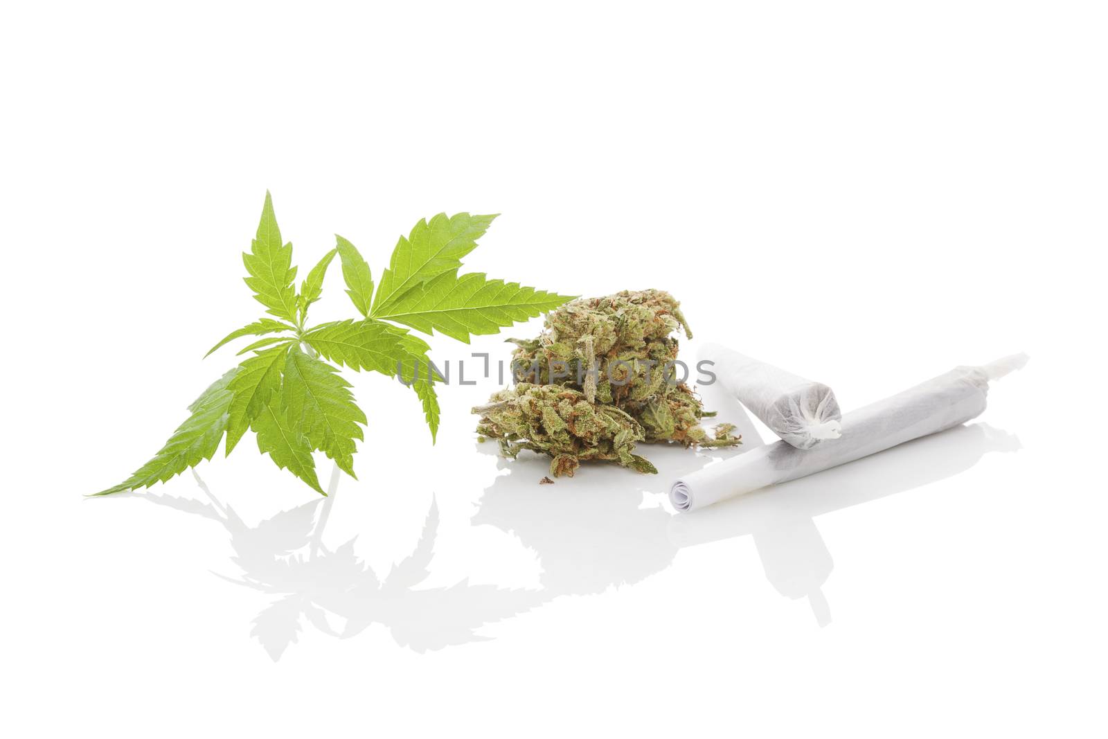 Marijuana cigarette joint, bud and foliage isolated on white background. Medical marijuana, alternative medicine. 