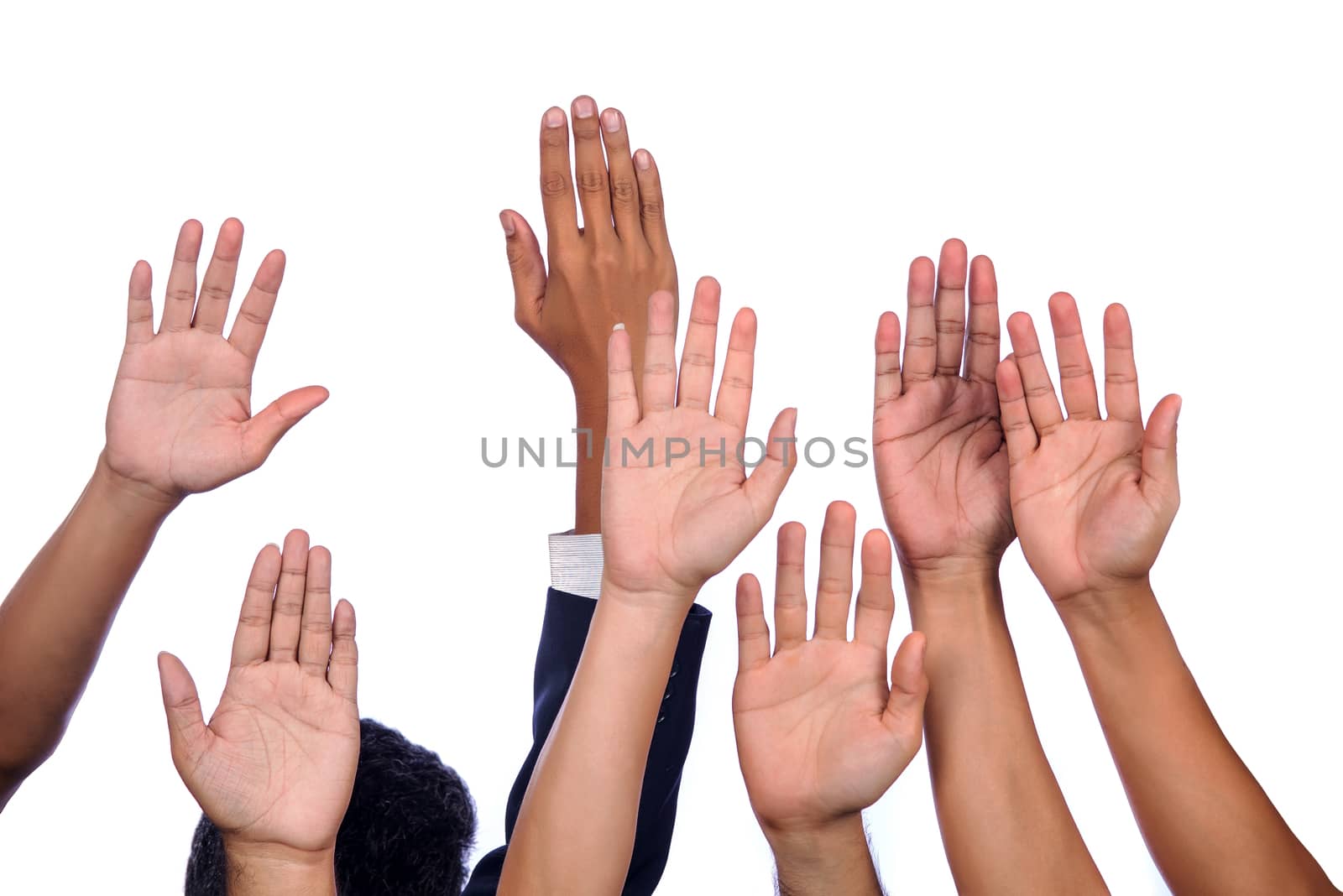 Diversity of Business Hands Raised