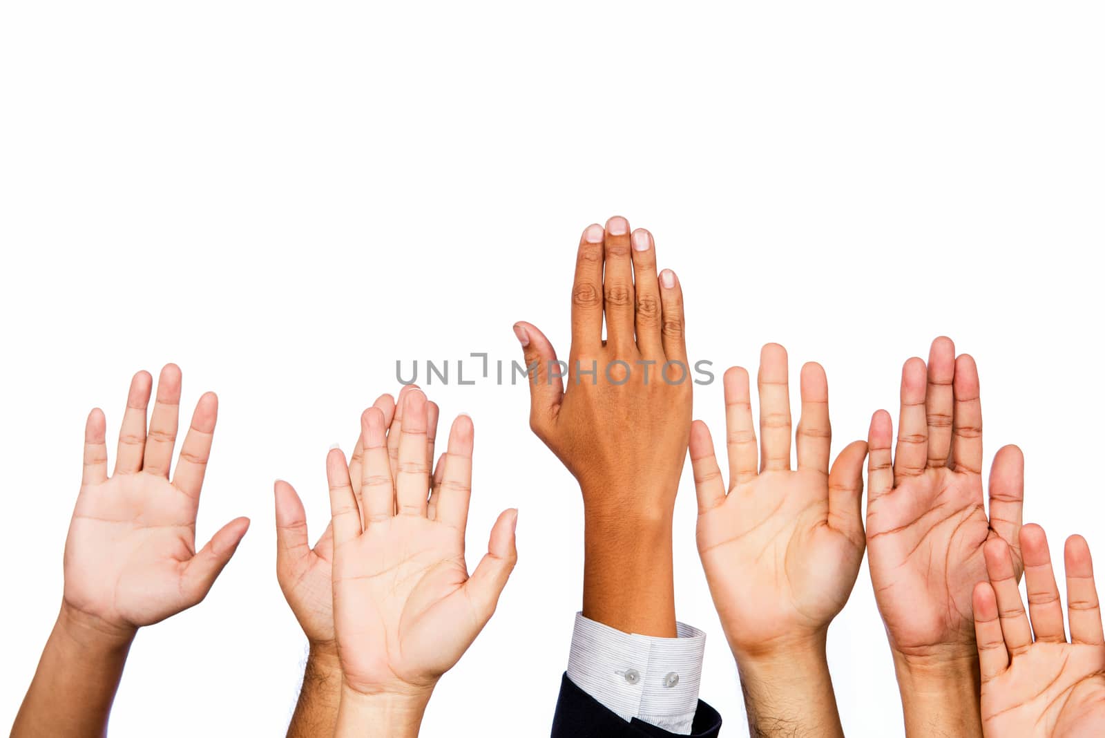Diversity of Business Hands Raised