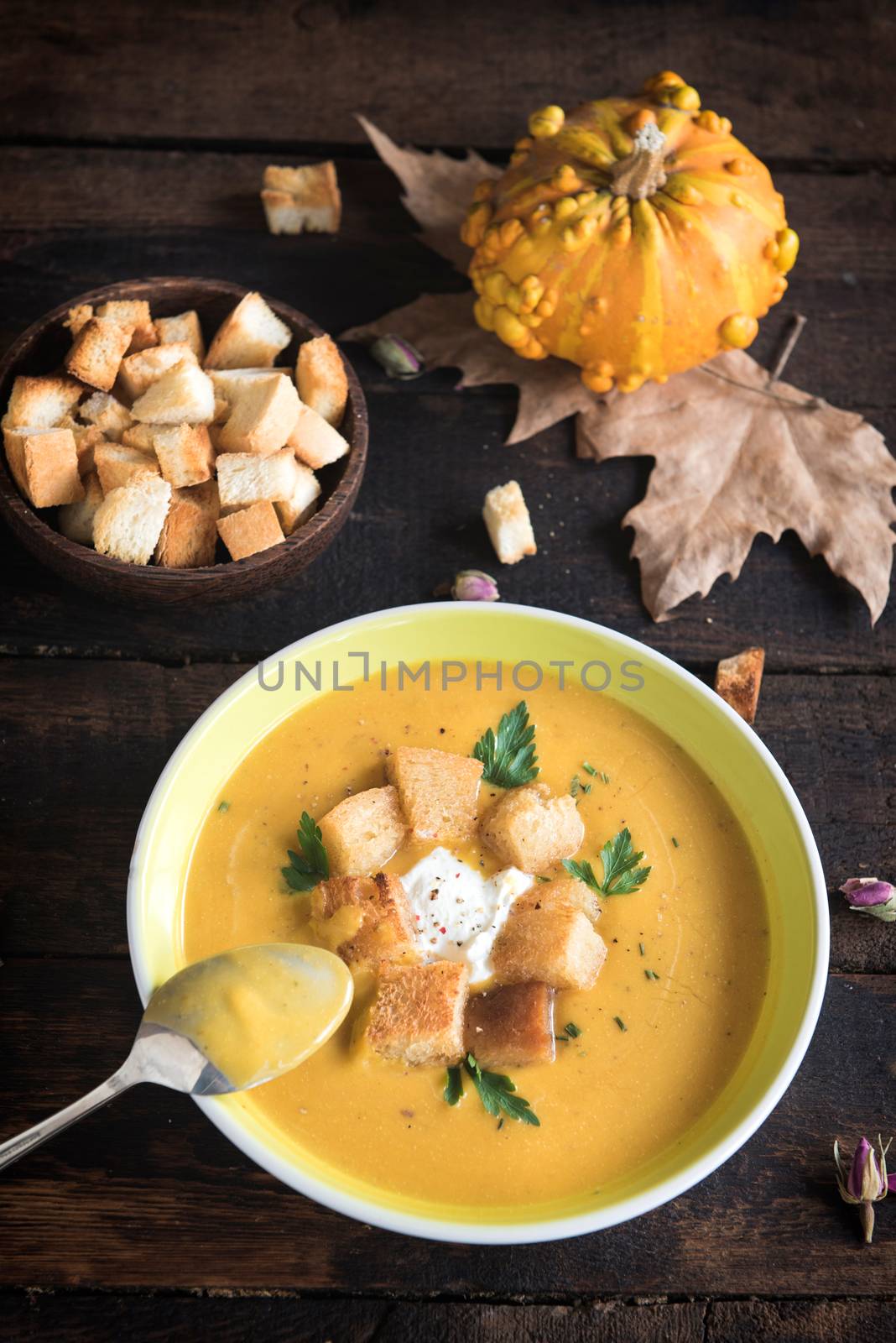 Pumpkin soup in the plate by badmanproduction