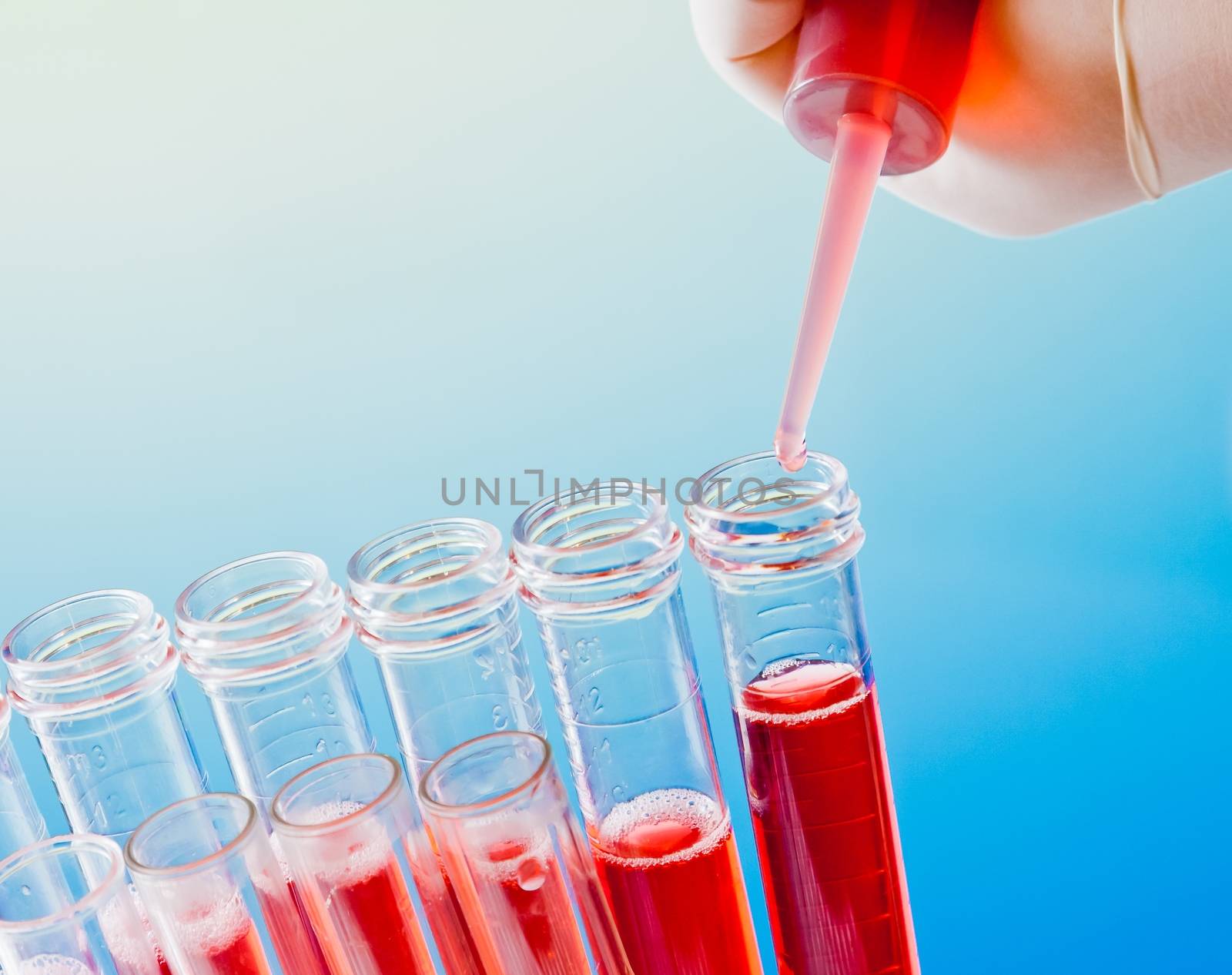 closeup of test tubes with pipette on red liquid on blue light tint background