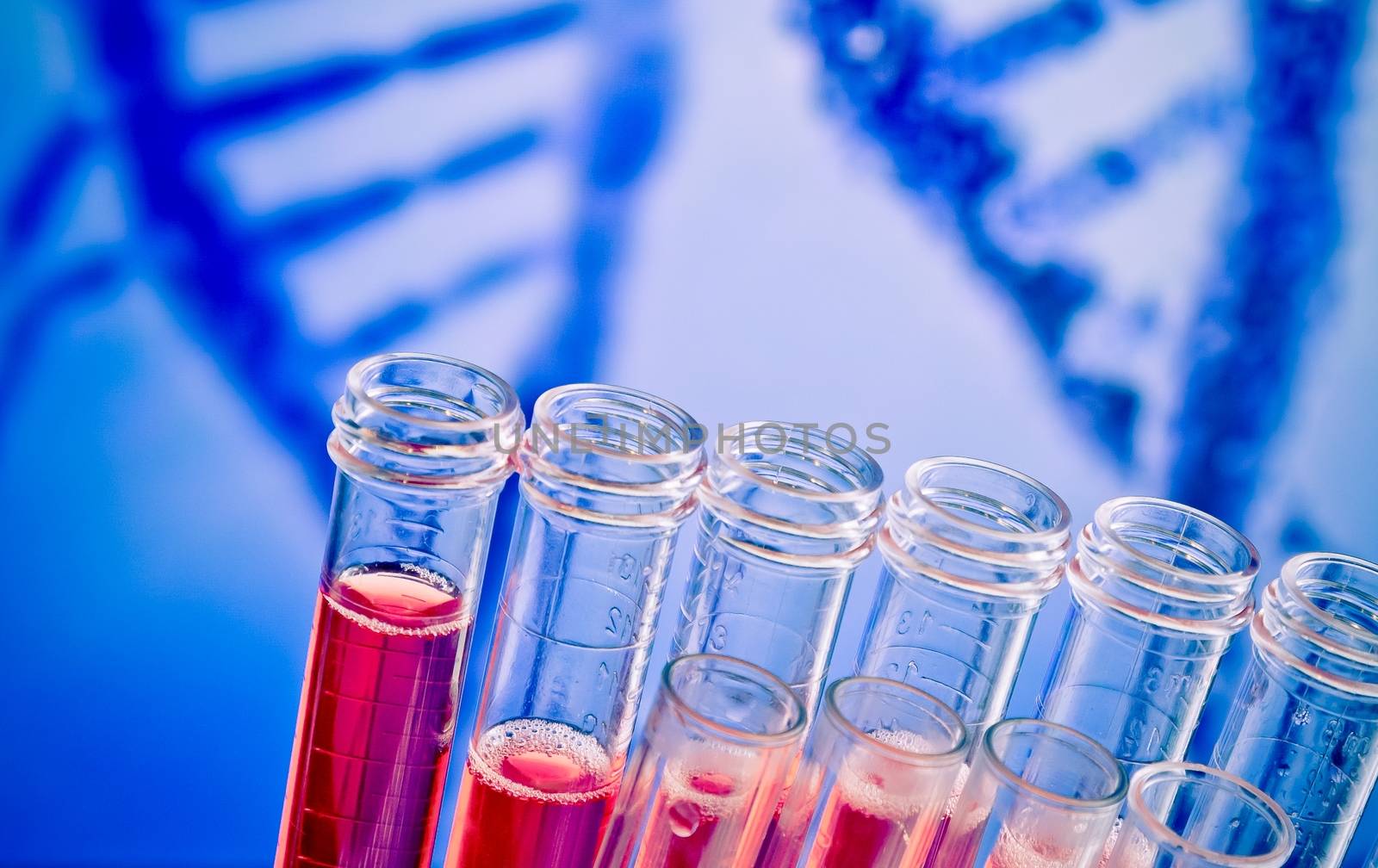 closeup of test tubes with red liquid on blue blur abstract dna background