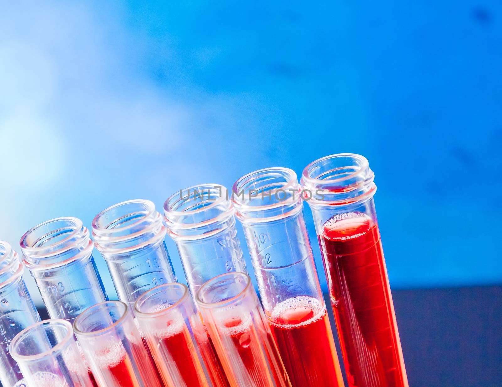 closeup of test tubes with red liquid in laboratory on blue light tint background