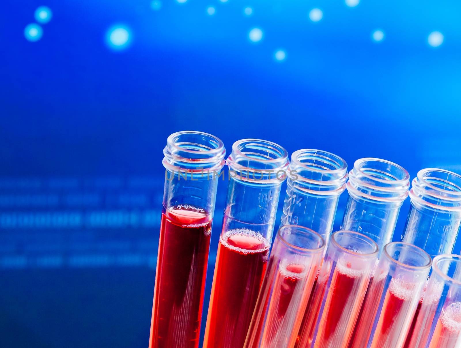 closeup of test tubes with red liquid in laboratory  by donfiore