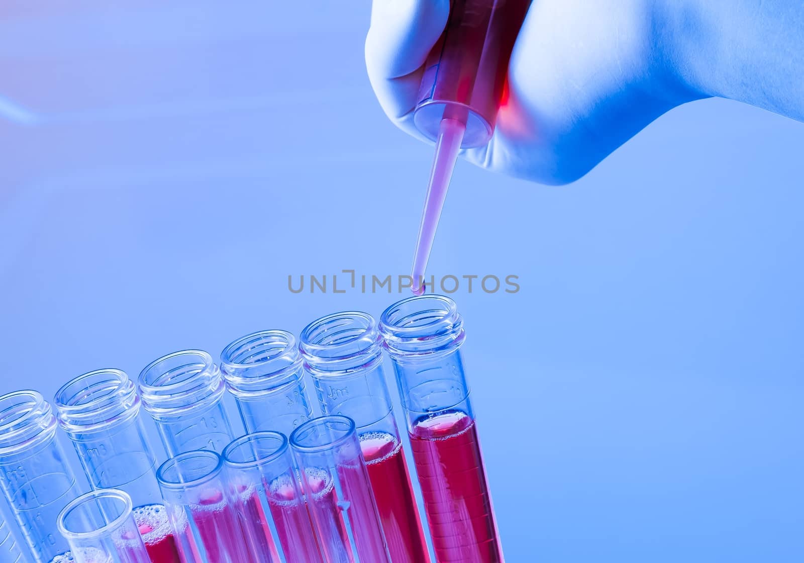 closeup of test tubes with pipette on red liquid on blue blur laboratory background