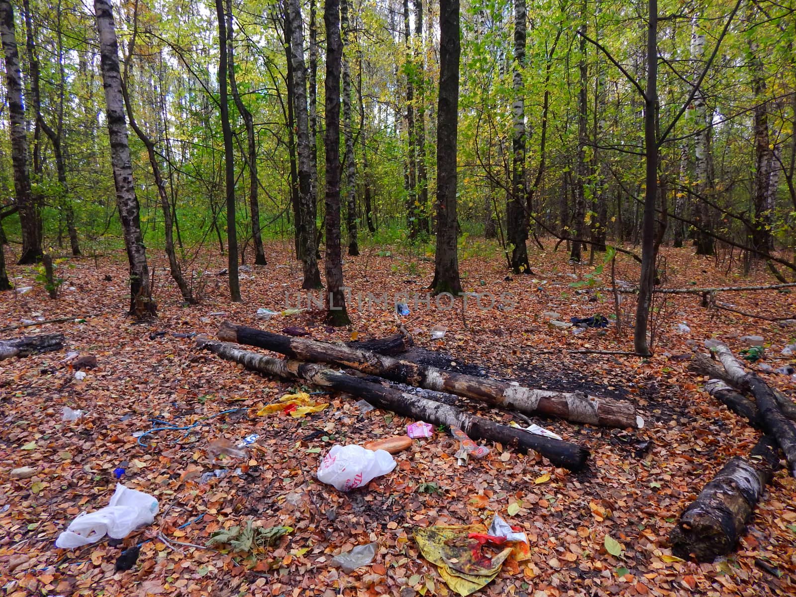 Pollution of forest waste