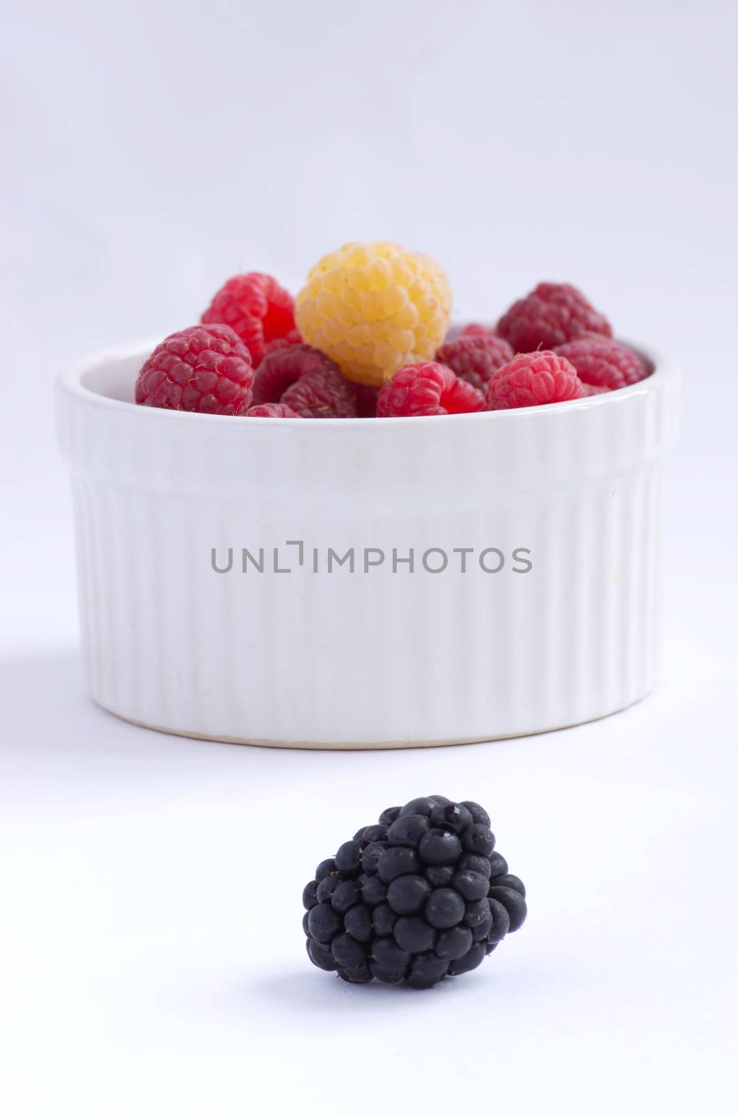A beautiful selection of freshly picked ripe red raspberries by dolnikow