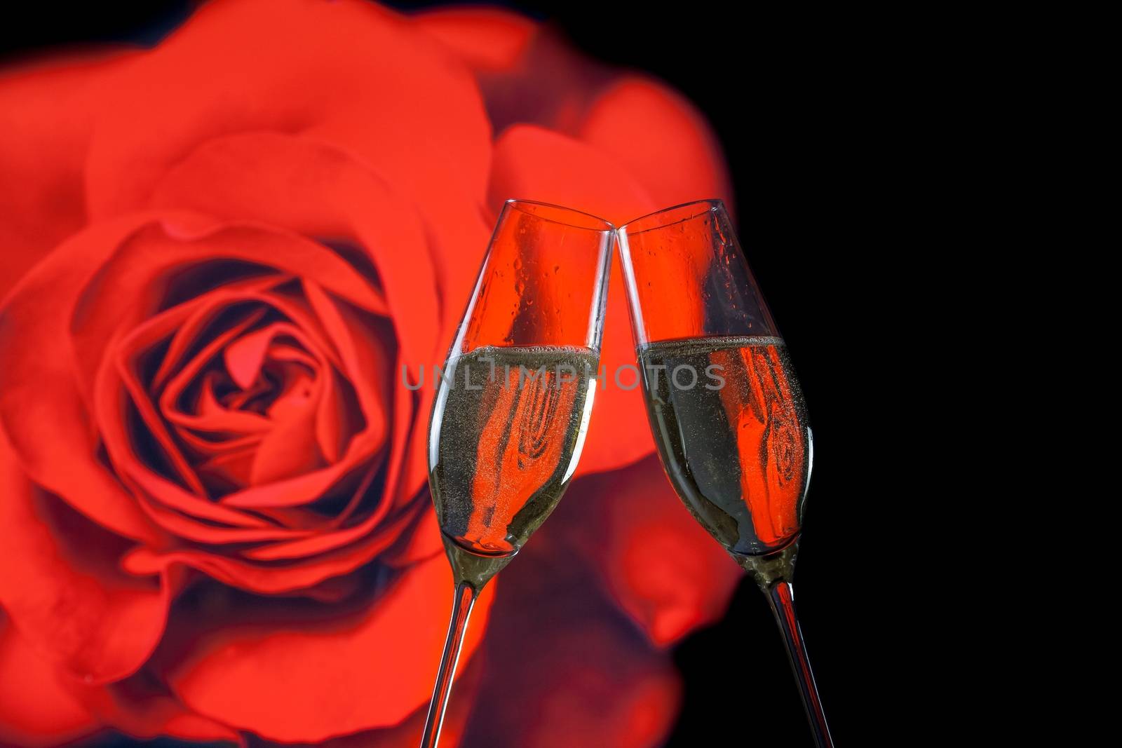 a pair of champagne flutes with golden bubbles make cheers on blur red rose background valentine day concept