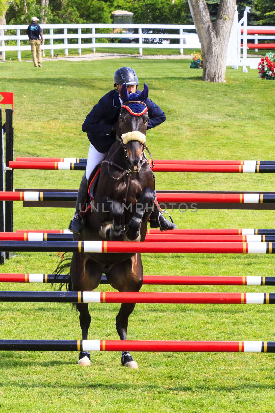 CALGARY CANADA - JUN 7 2015   Unidentified rider in action during the prestige s Spruce Meadows International hors jumping competition,  riders comes all over the world to compete.