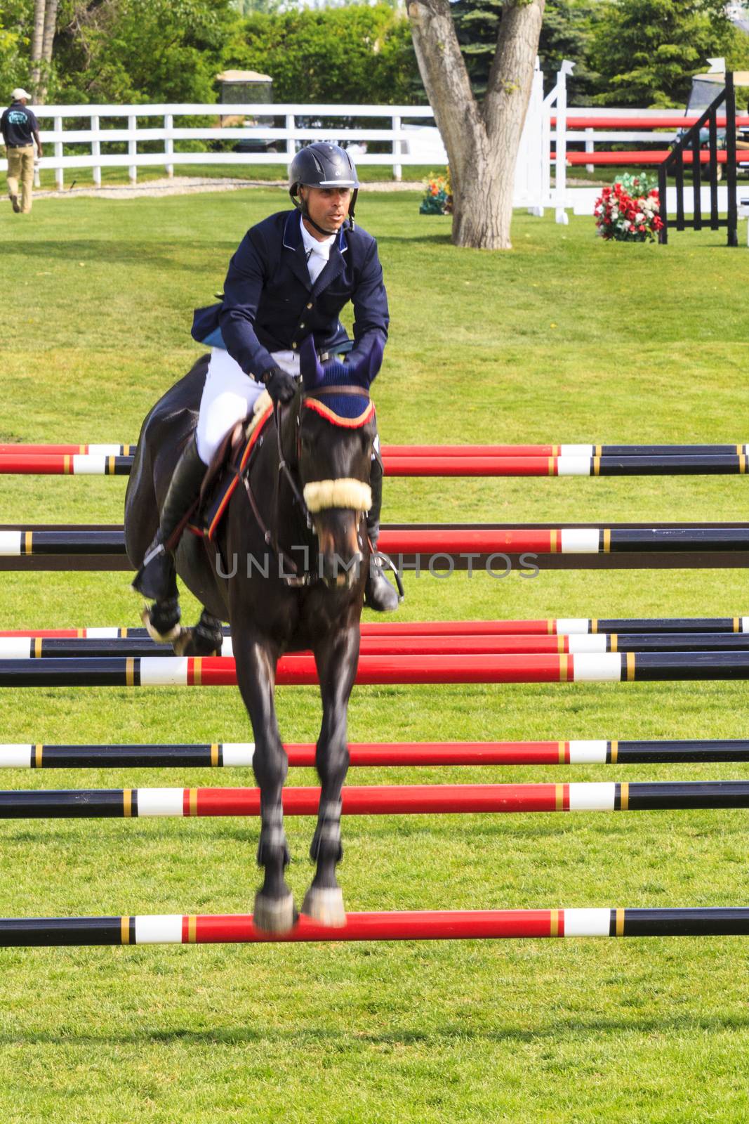 CALGARY CANADA - JUN 7 2015   Unidentified rider in action during the prestige s Spruce Meadows International hors jumping competition,  riders comes all over the world to compete.