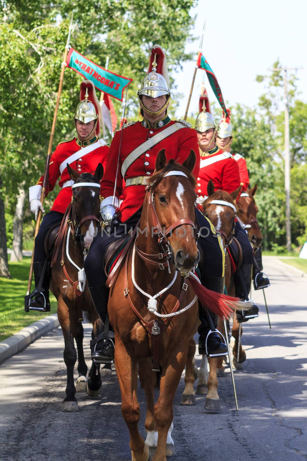 Royal Canadians Mounted Regiment by Imagecom