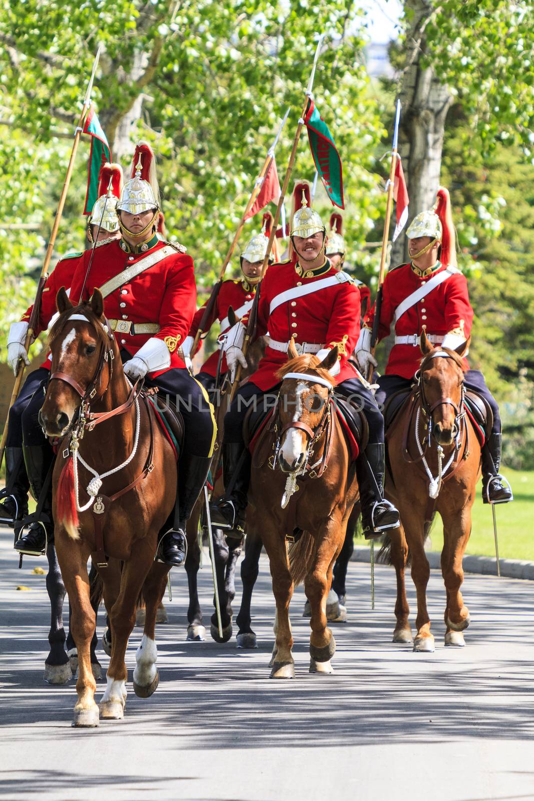 CALGARY CANADA - JUN 7 2015: The  Lord Strathcona's Horse  (Royal Canadians Mounted Regiment)  parades on Spruce Meadows Show Jumping at the 40th anniversary.