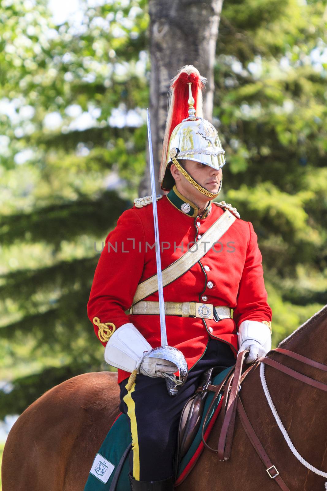 Royal Canadians Mounted Regiment by Imagecom