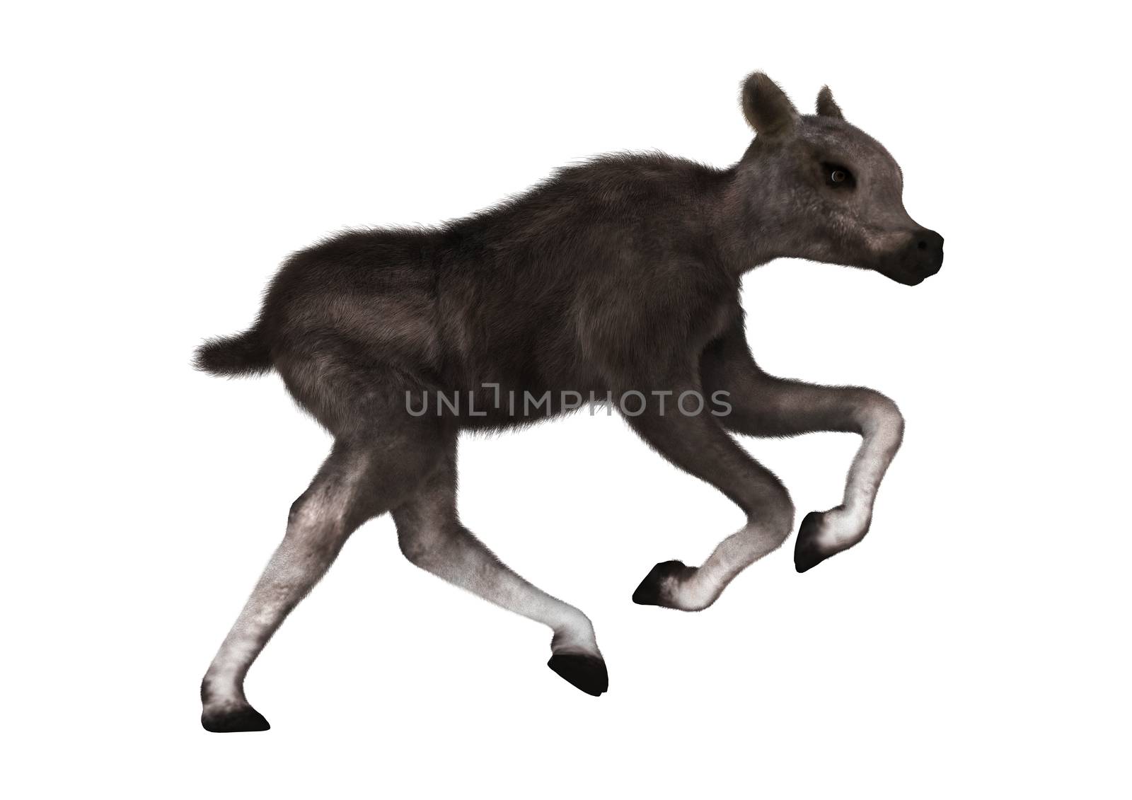 3D digital render of a caribou calf isolated on white background