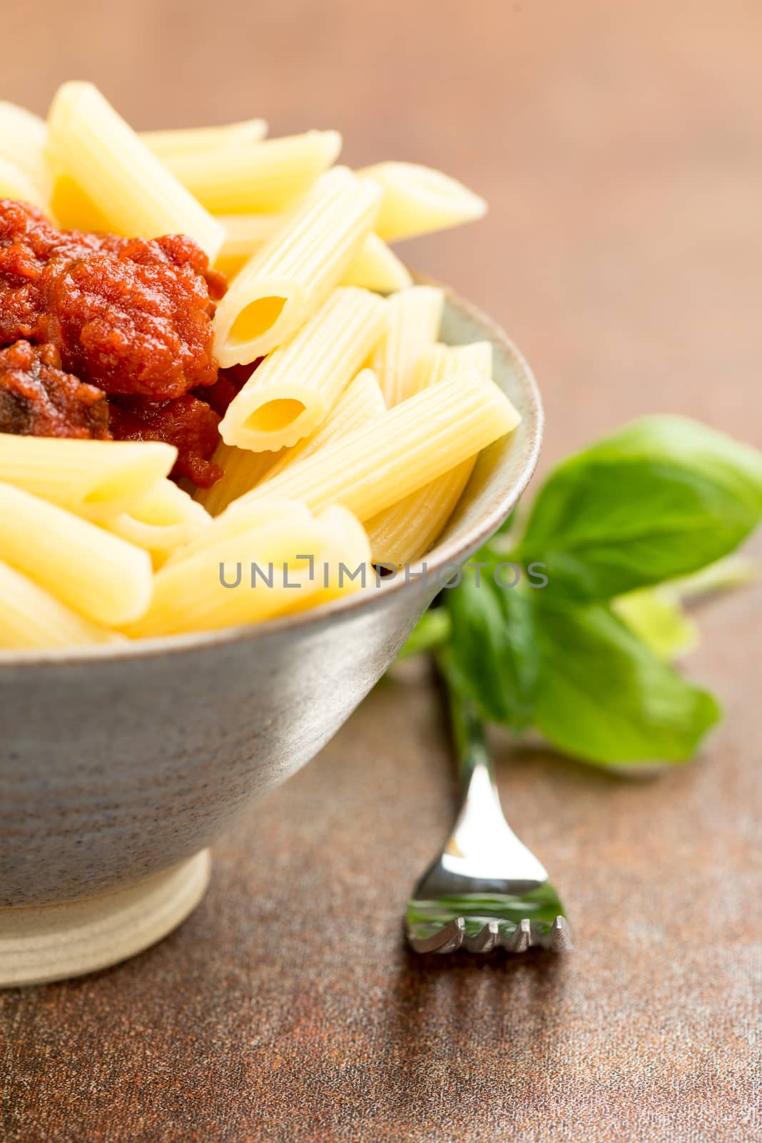 Penne pasta with a tomato bolognese beef sauce by Nanisimova