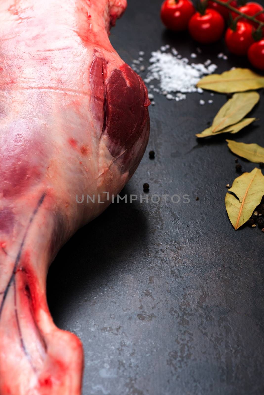 Raw lamb leg by Nanisimova