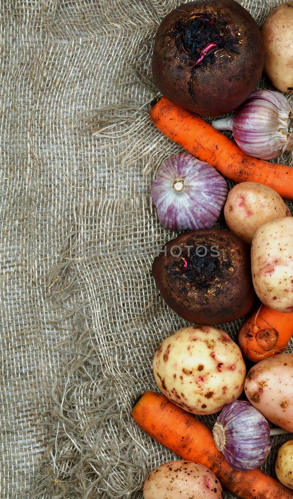 Frame of Raw Vegetables with Potatoes, Garlic, Carrots and Beets closeup on Sacking background. Top View