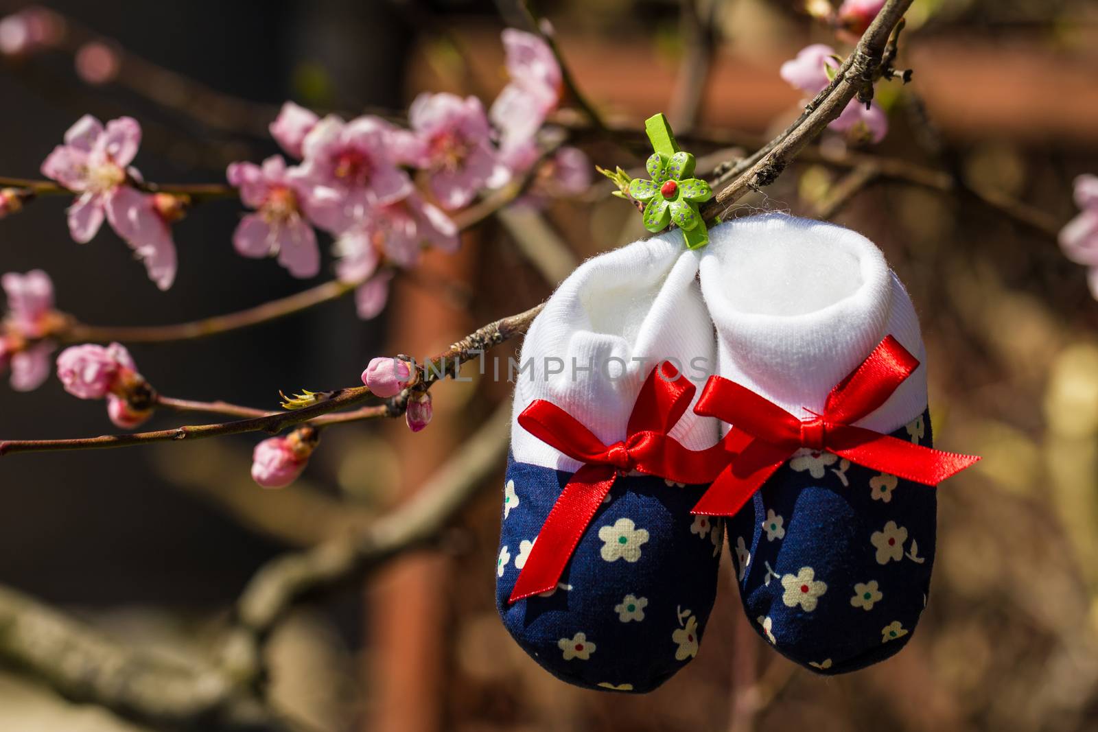 Baby slippers hanging on a branch of blossoming tree