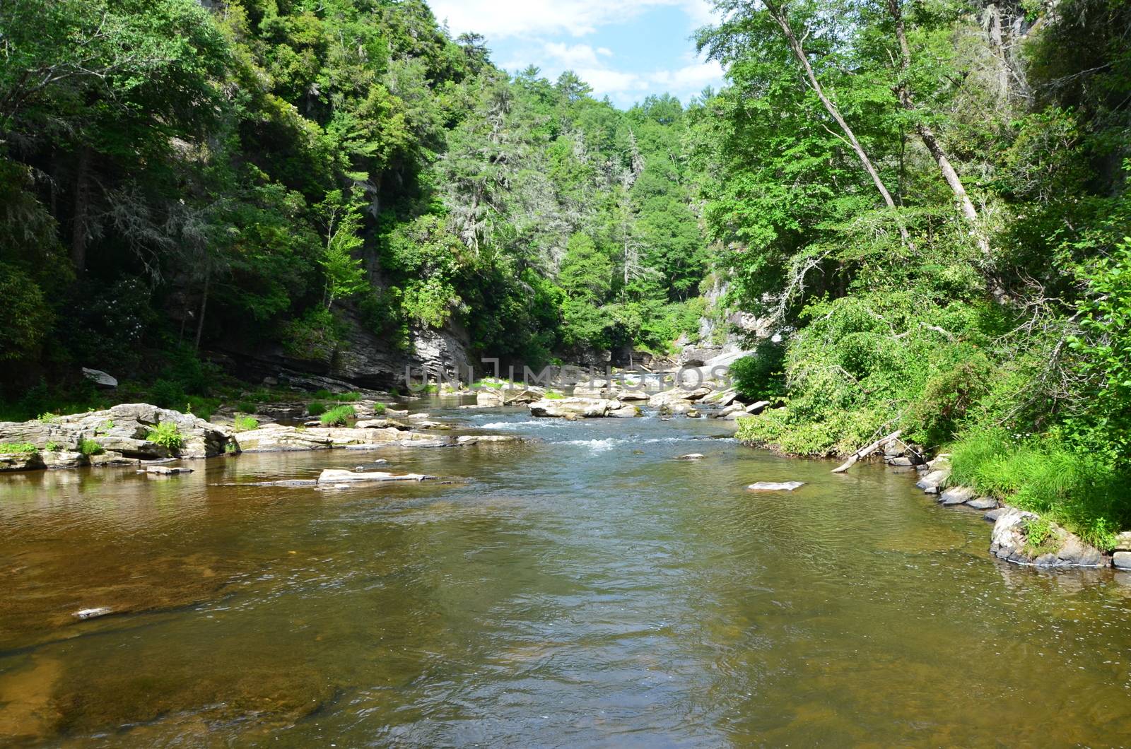 A mountain stream in the North Carolina woods near Linville Falls