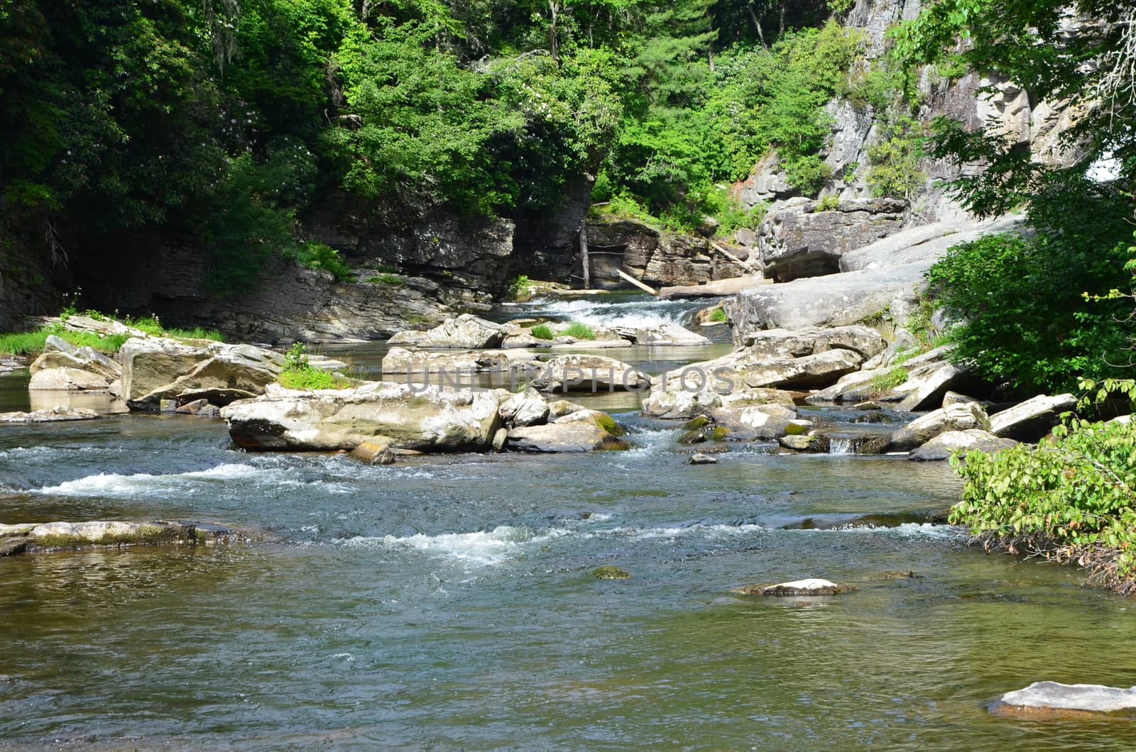 A mountain stream in the North Carolina woods just below the Linville Falls