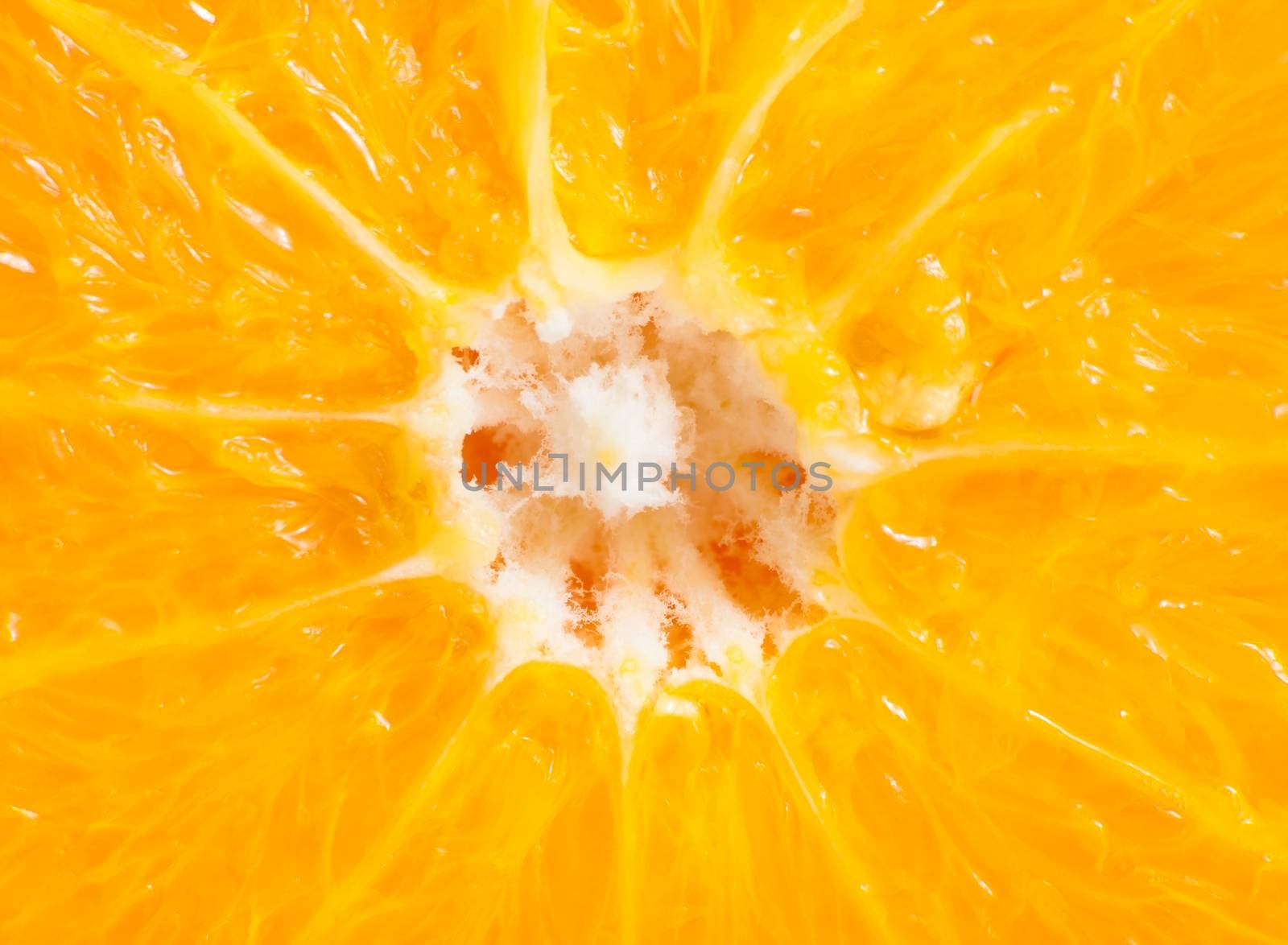 Orange texture, for background, extreme close-up