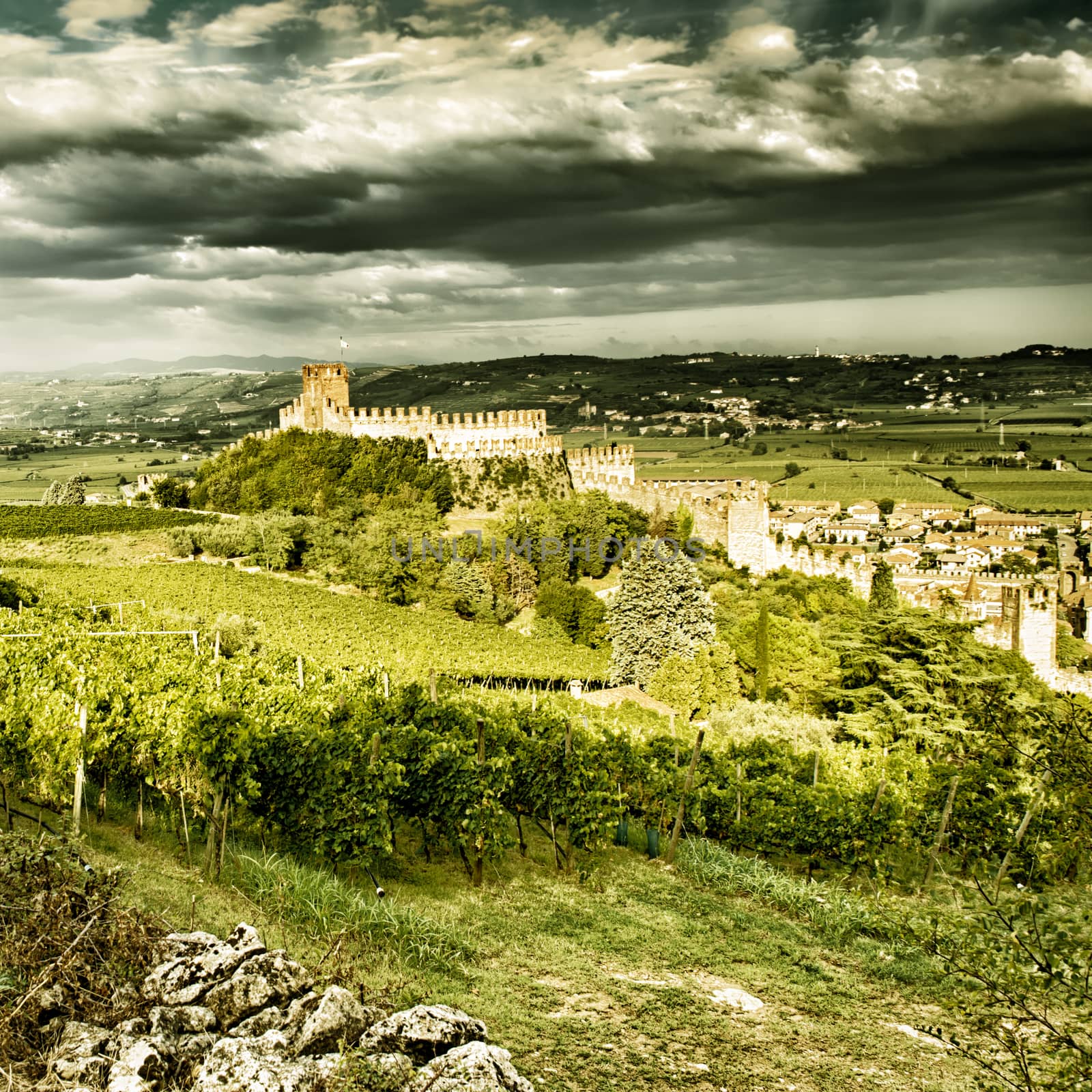 view of Soave (Italy) surrounded by vineyards that produce one of the most appreciated Italian white wines, and its famous medieval castle.