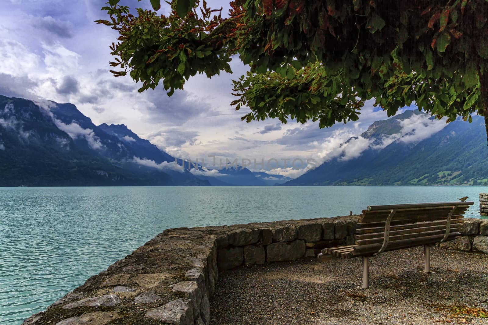 Bench at Brienz lake, Switzerland by Elenaphotos21