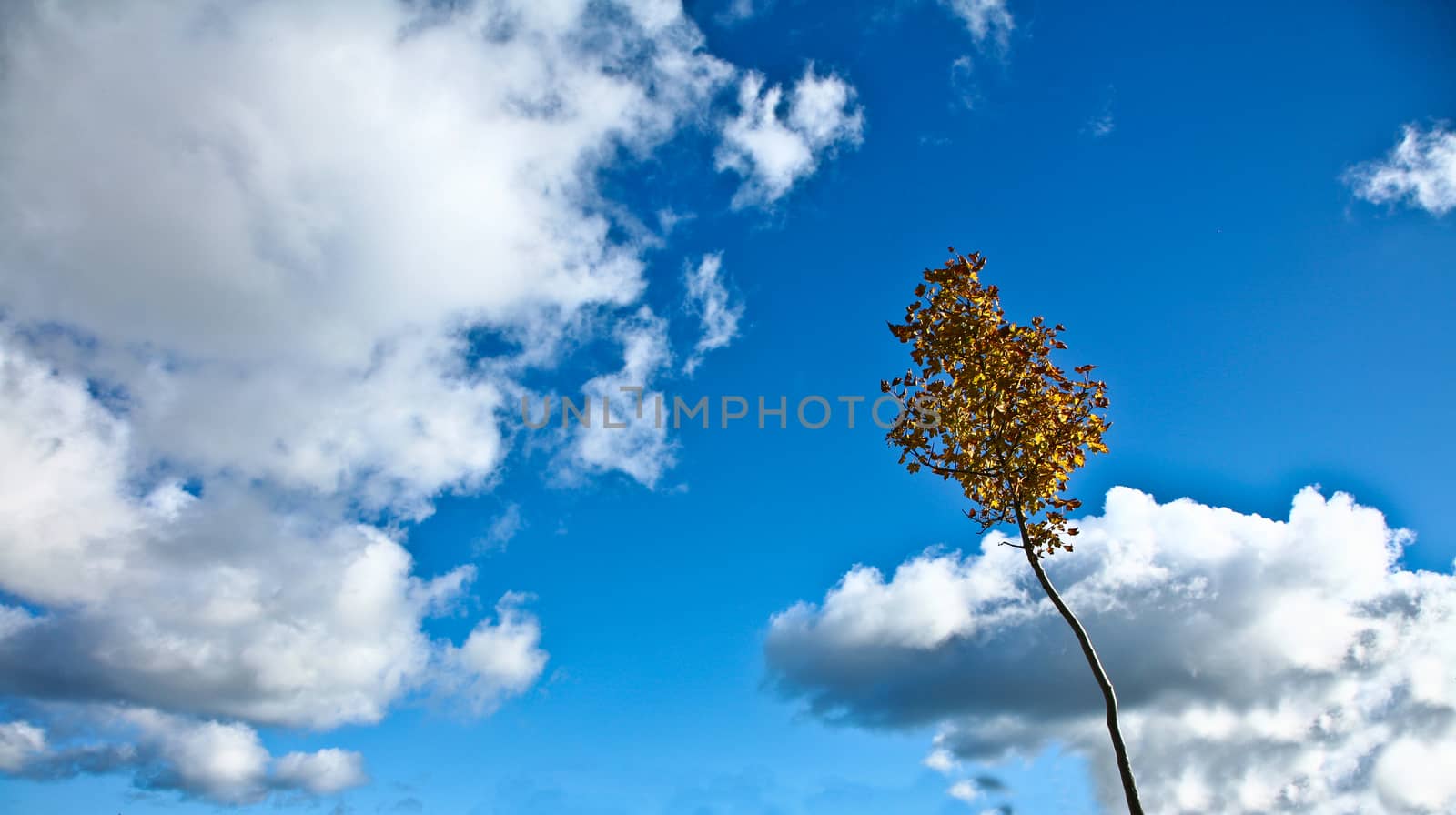 Nice blue sky with clouds formation in Denmark