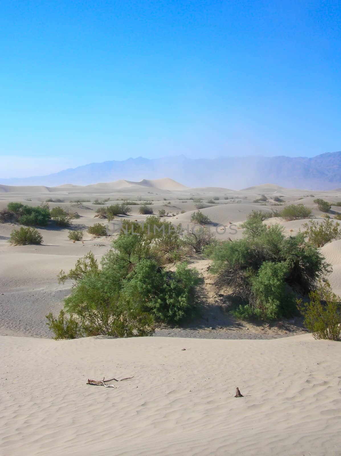 Sand Dunes in Death Valley by Isaac74