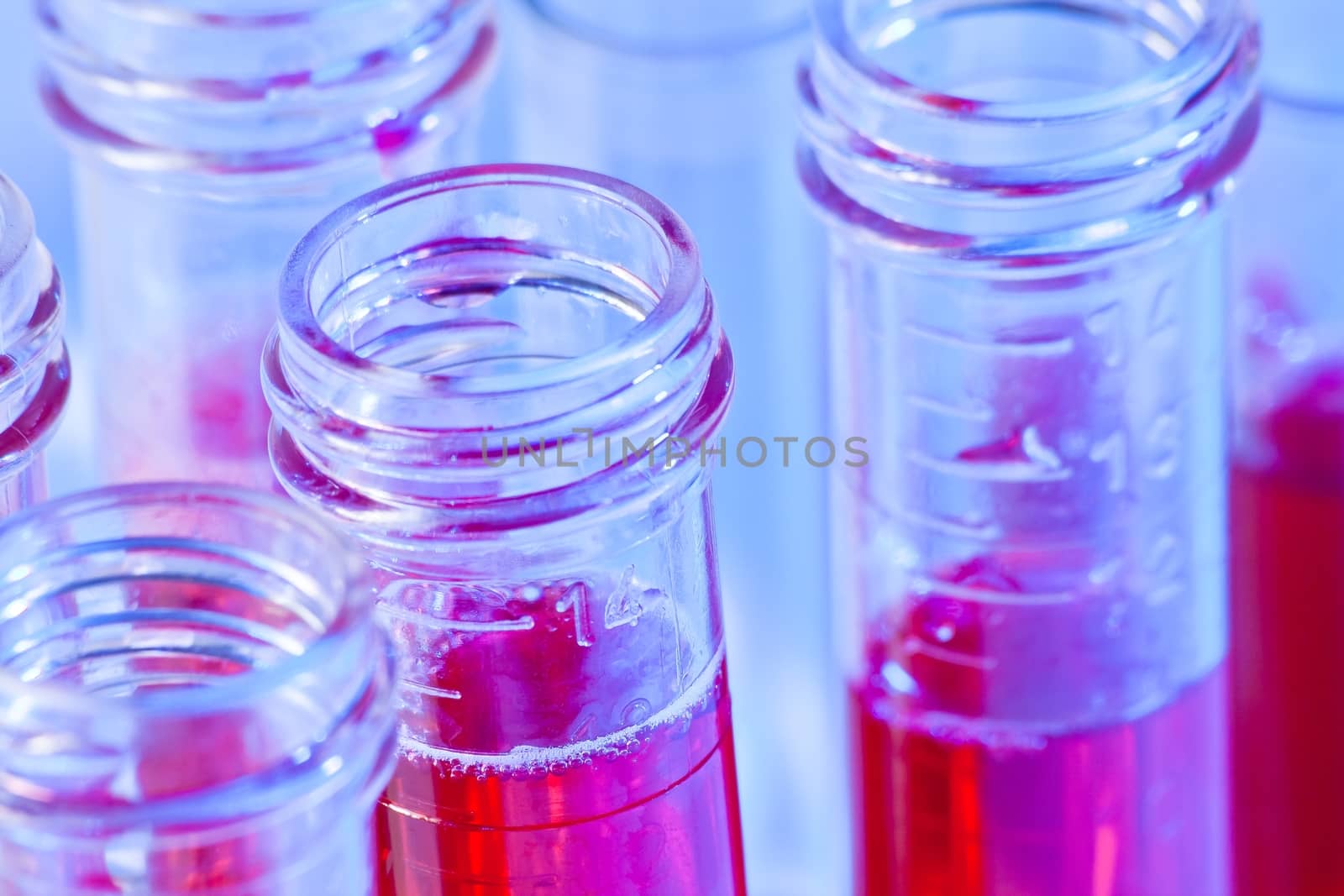 test tubes with red liquid in laboratory on blue light tint background