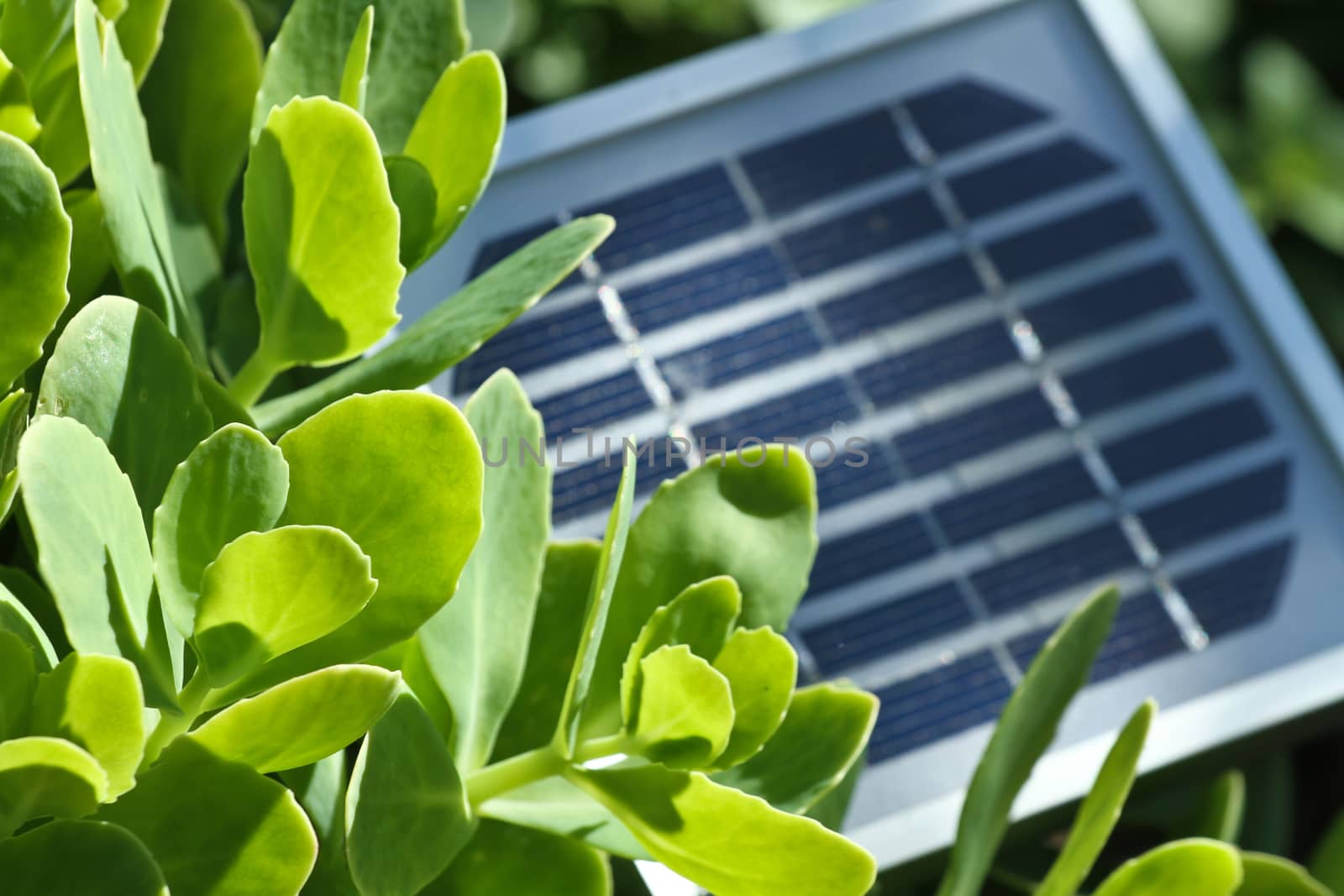 PV celles details, close up picture. Photovoltaics PV is the field of technology and research related to the application of solar cells for energy by converting sunlight directly into electricity.