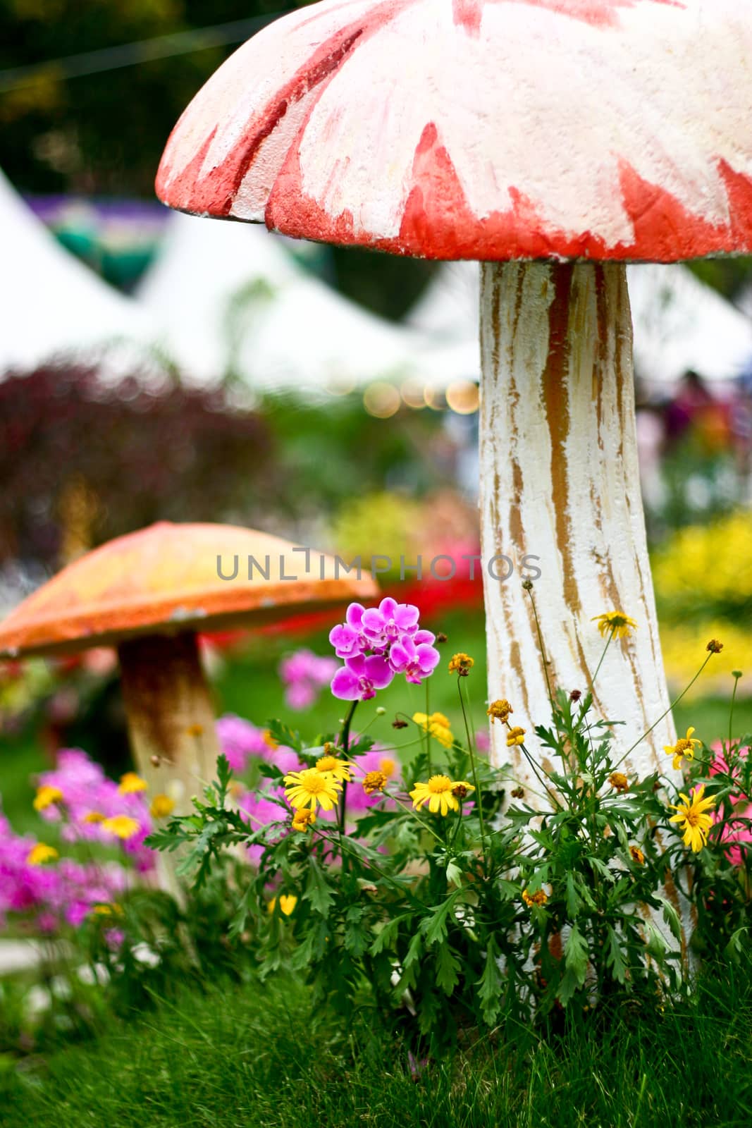 Flowers and mushroom with blur background