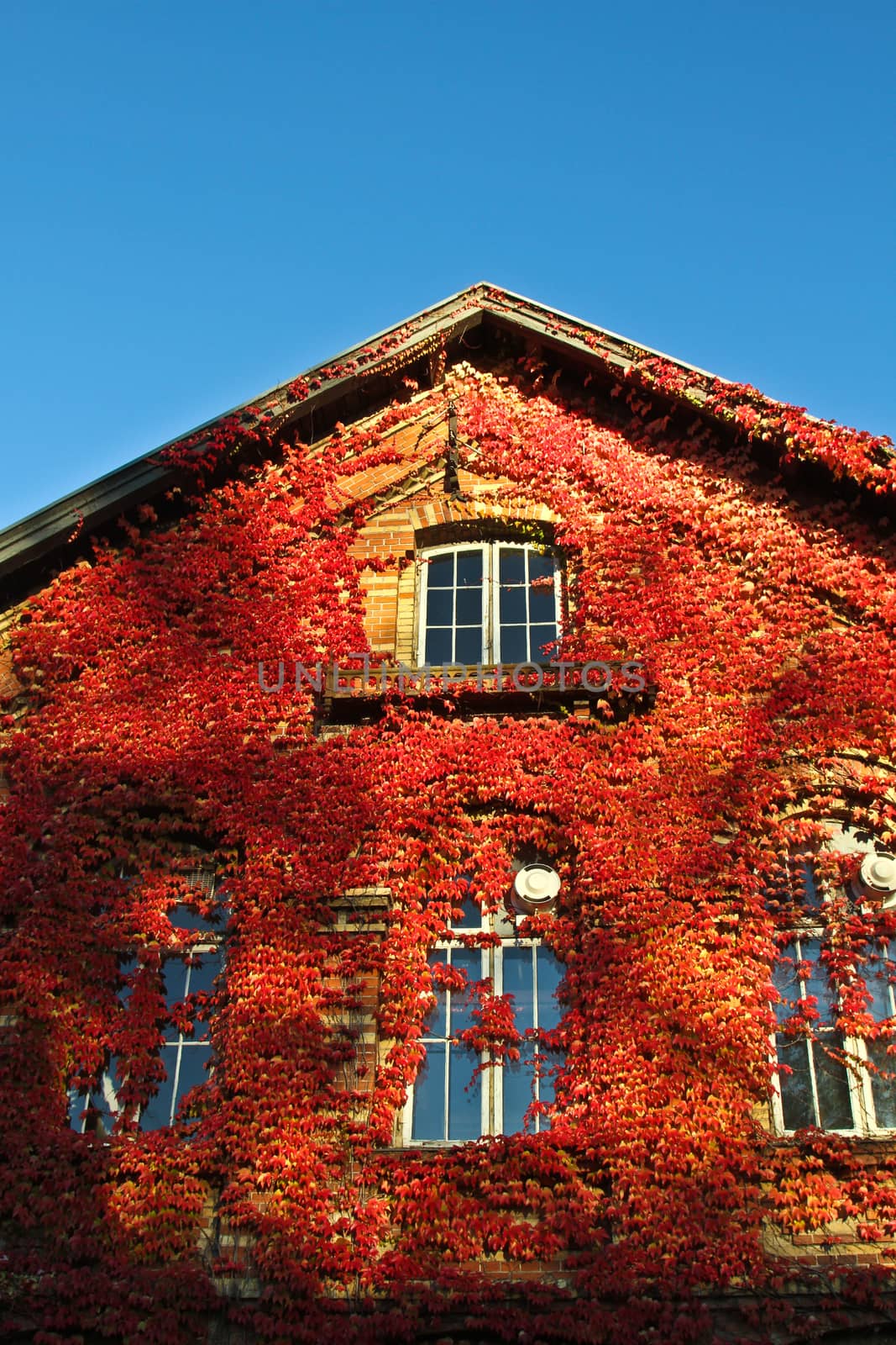 Old red brick house in denmark