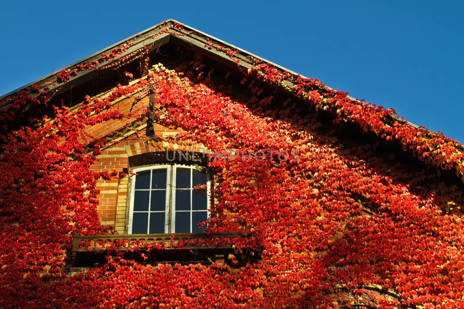 Old red brick house in denmark