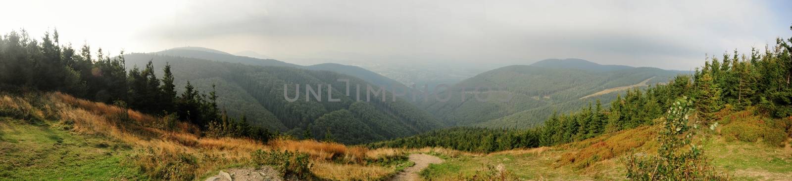 Panorama of beautiful green landscapes in the mist and rain
